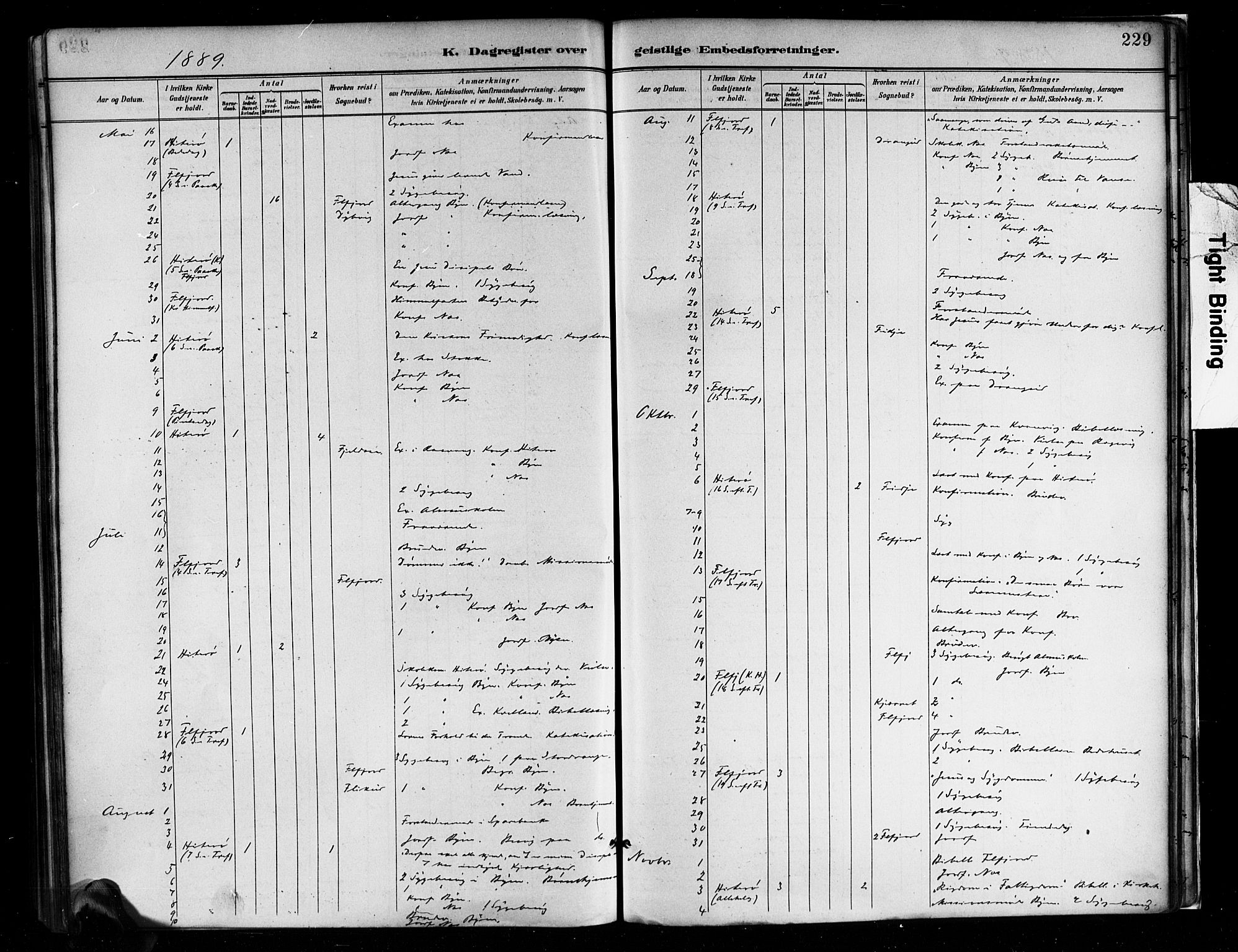 Flekkefjord sokneprestkontor, AV/SAK-1111-0012/F/Fa/Faa/L0001: Parish register (official) no. A 1, 1885-1900, p. 229