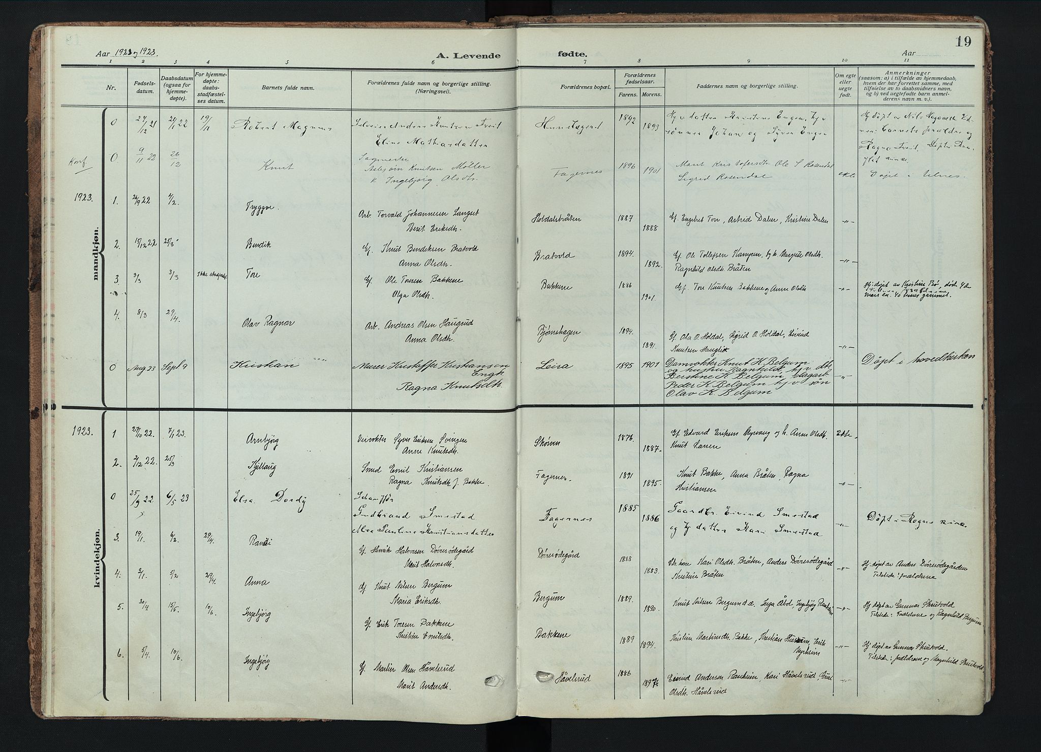 Nord-Aurdal prestekontor, SAH/PREST-132/H/Ha/Haa/L0018: Parish register (official) no. 18, 1915-1935, p. 19