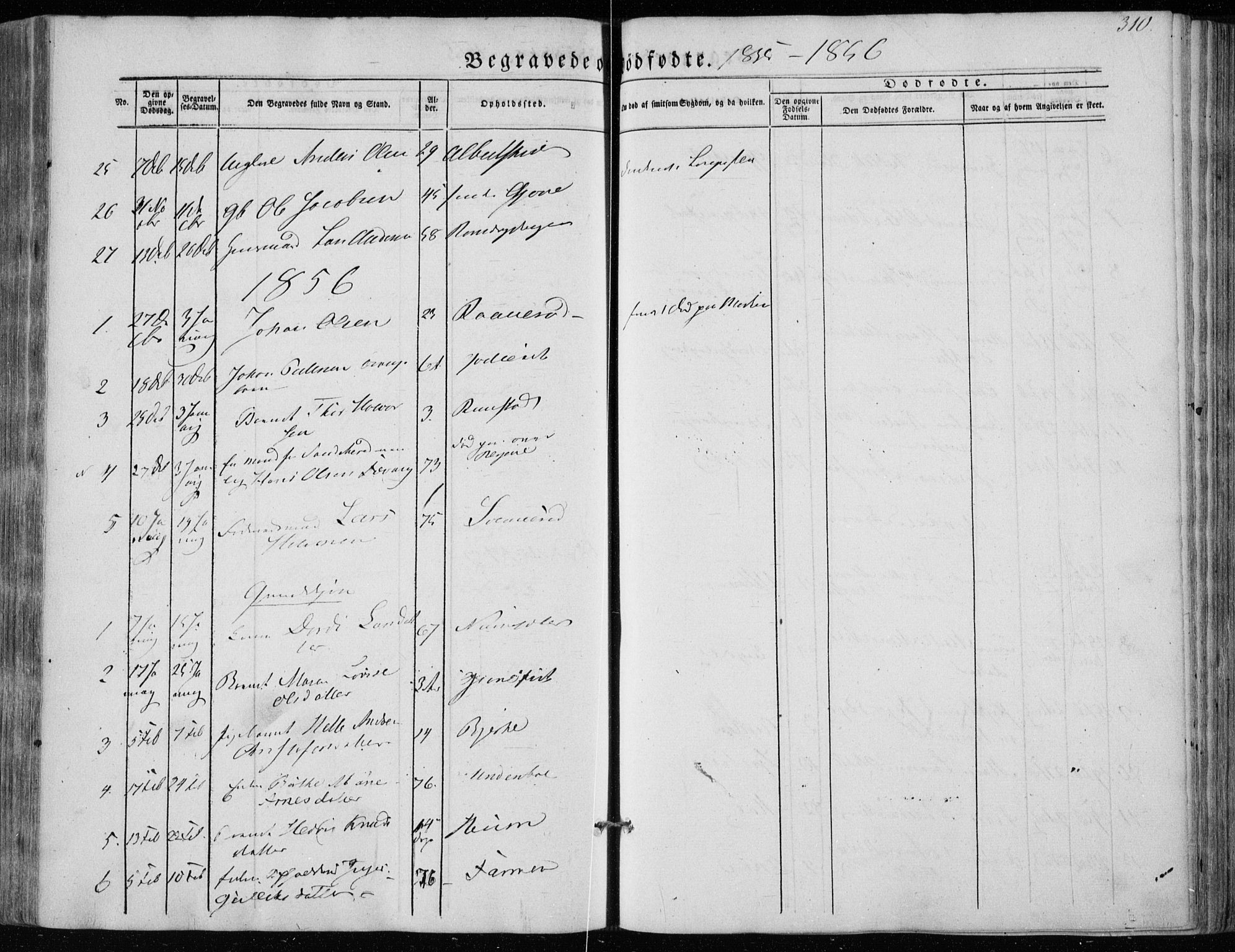 Hedrum kirkebøker, AV/SAKO-A-344/F/Fa/L0006: Parish register (official) no. I 6, 1849-1857, p. 310