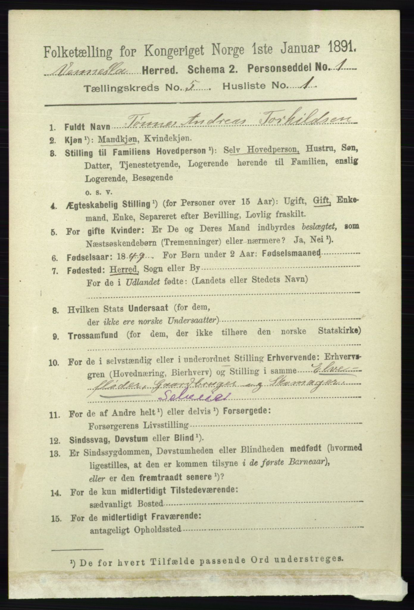 RA, 1891 census for 1014 Vennesla, 1891, p. 1213