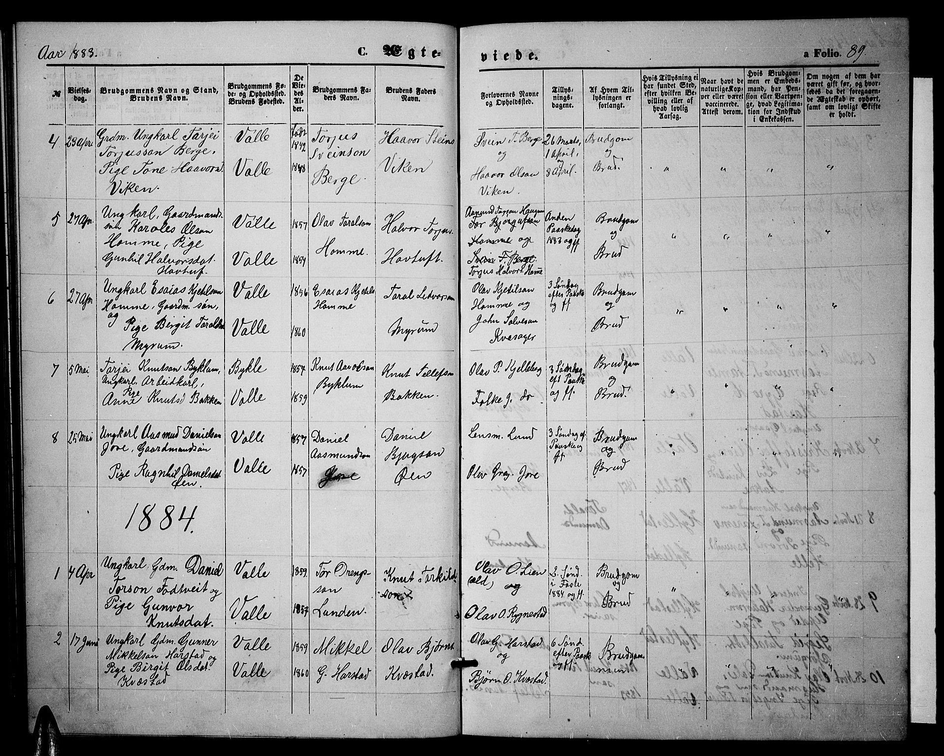 Valle sokneprestkontor, SAK/1111-0044/F/Fb/Fbc/L0003: Parish register (copy) no. B 3, 1871-1890, p. 89