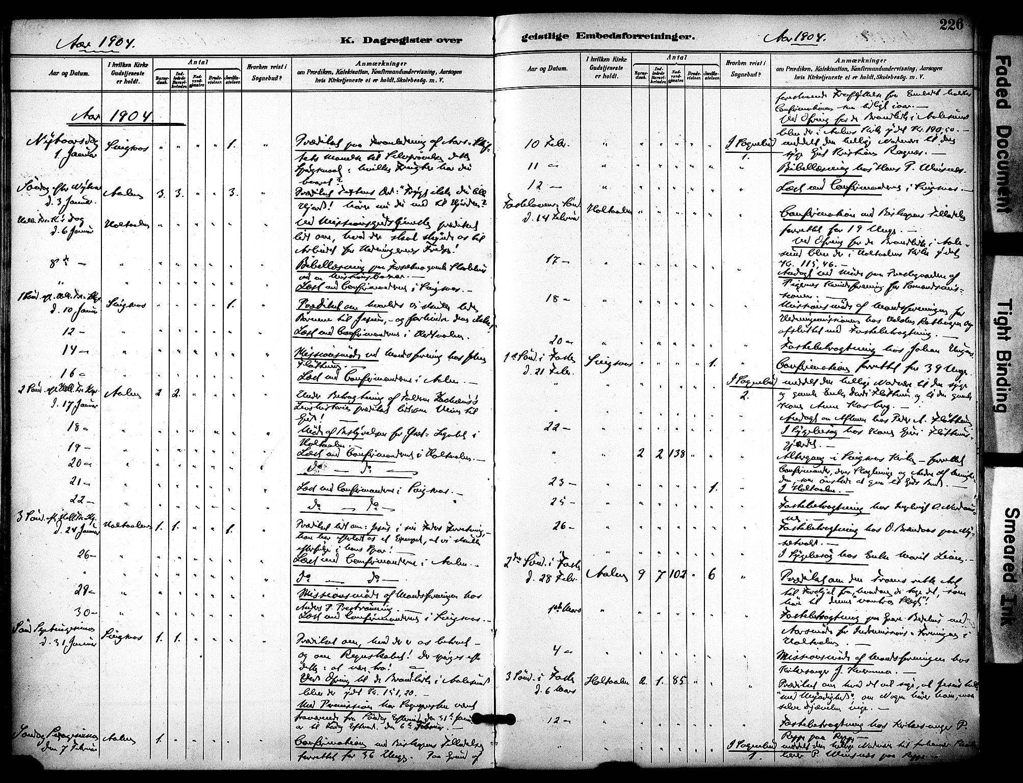Ministerialprotokoller, klokkerbøker og fødselsregistre - Sør-Trøndelag, SAT/A-1456/686/L0984: Parish register (official) no. 686A02, 1891-1906, p. 226