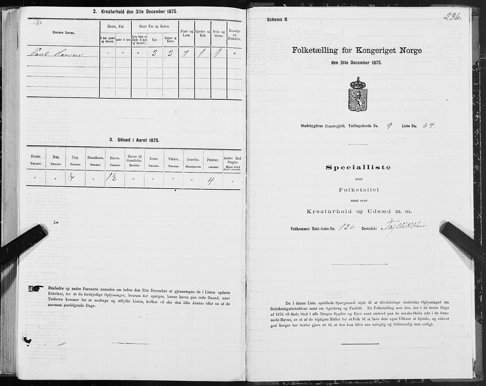 SAT, 1875 census for 1625P Stadsbygd, 1875, p. 5236