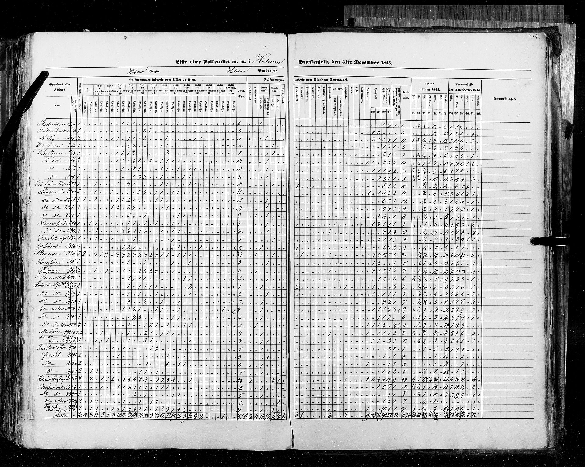 RA, Census 1845, vol. 4: Buskerud amt og Jarlsberg og Larvik amt, 1845, p. 464