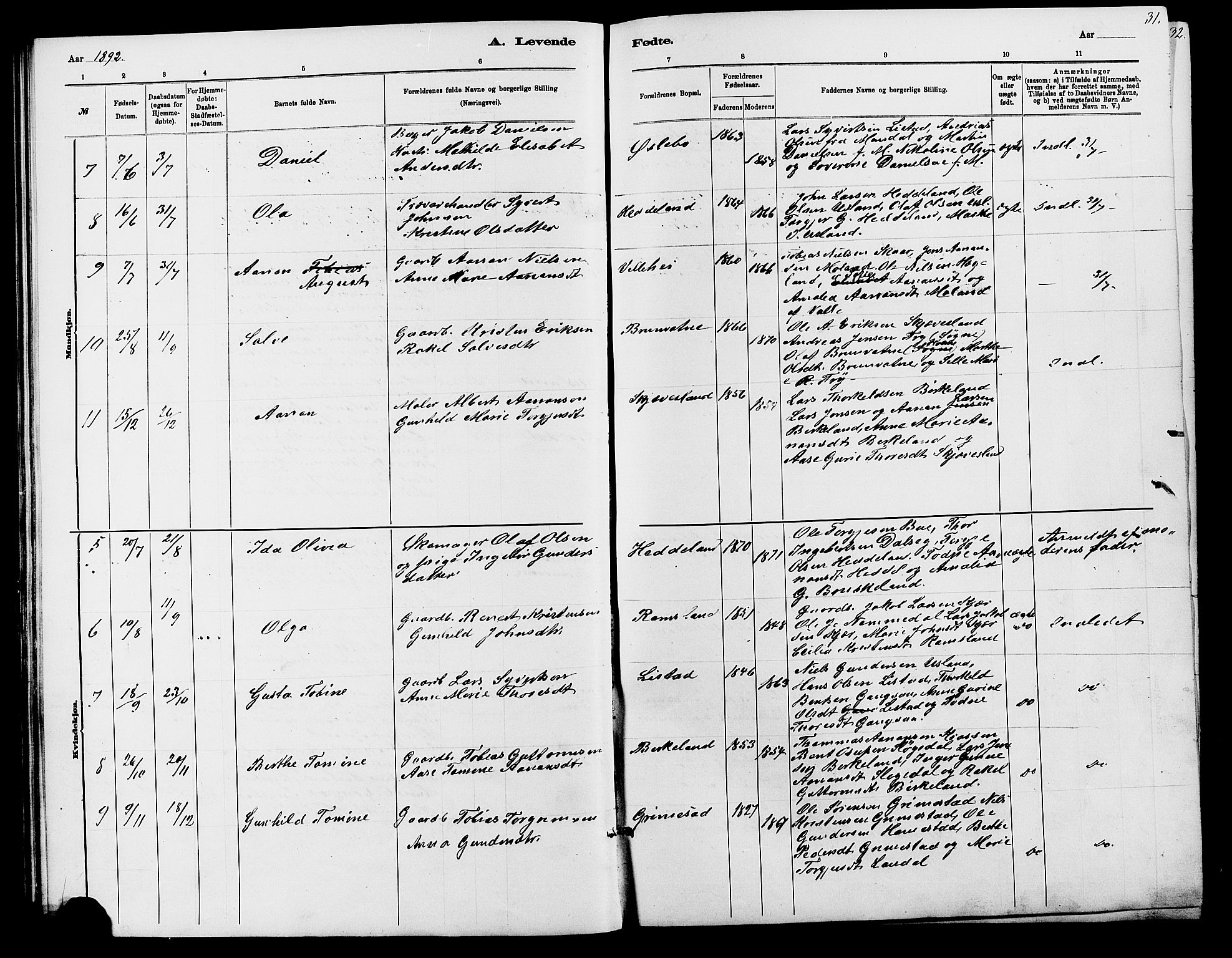 Holum sokneprestkontor, AV/SAK-1111-0022/F/Fb/Fbc/L0003: Parish register (copy) no. B 3, 1882-1908, p. 31