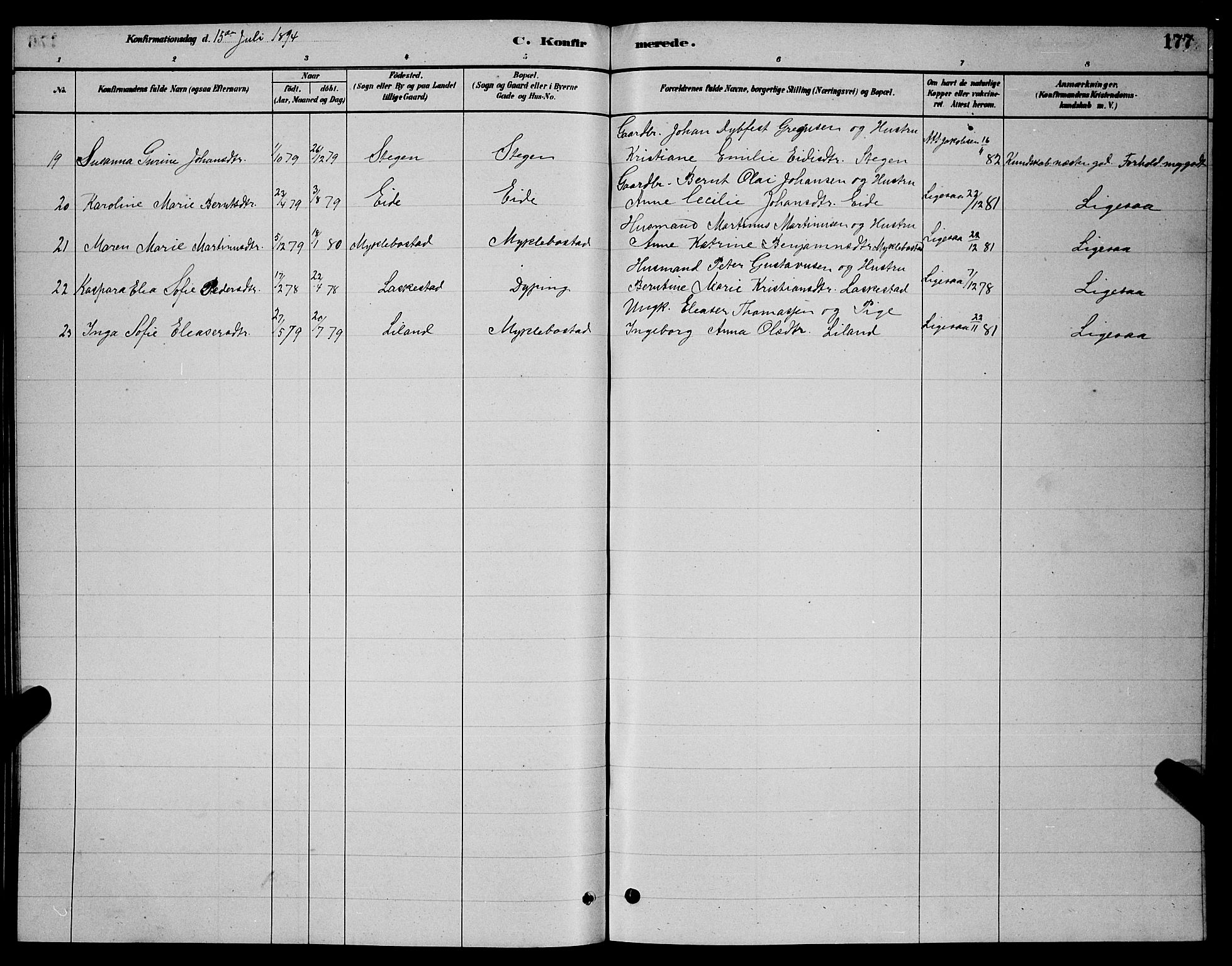 Ministerialprotokoller, klokkerbøker og fødselsregistre - Nordland, AV/SAT-A-1459/855/L0816: Parish register (copy) no. 855C05, 1879-1894, p. 177