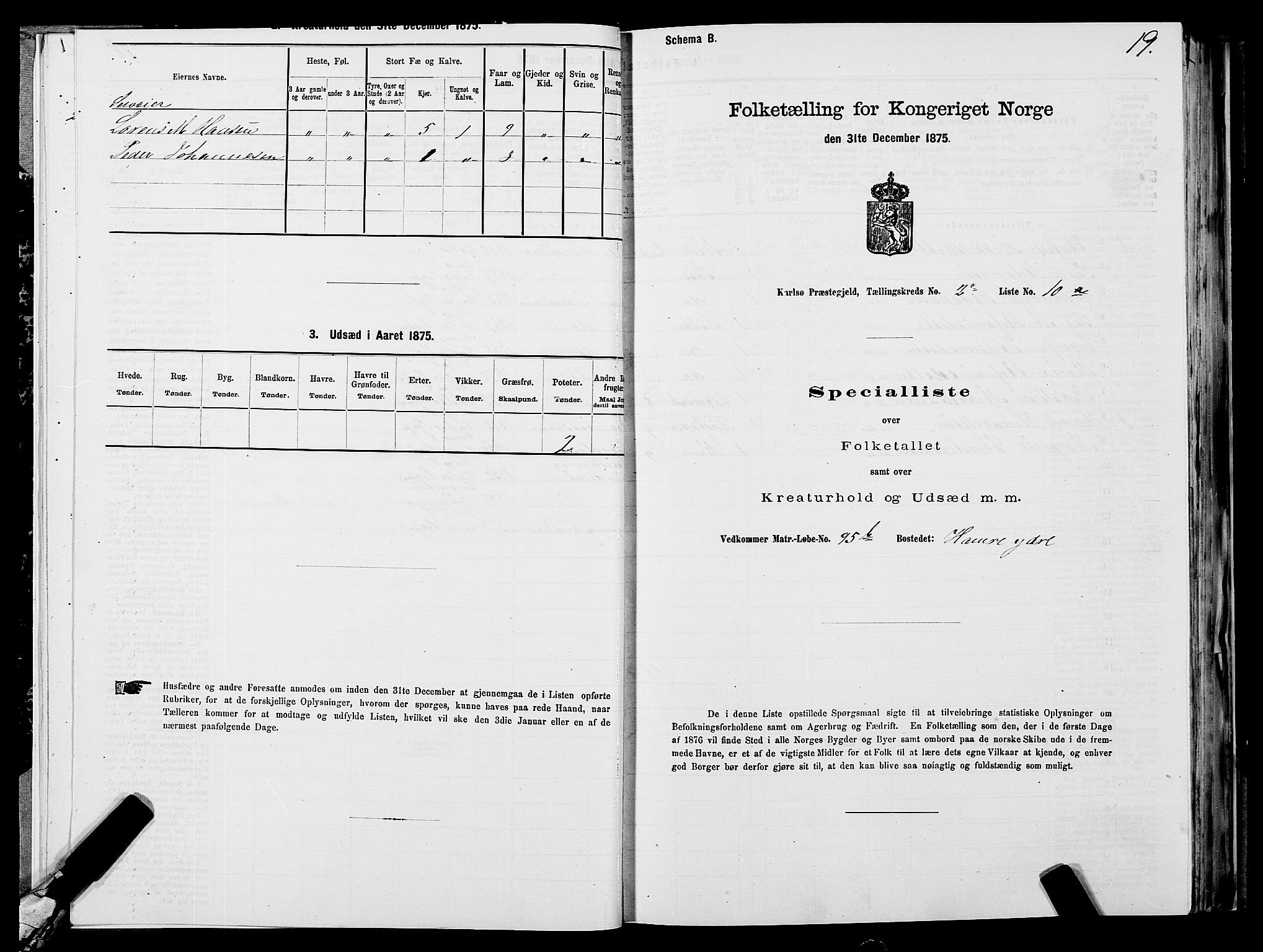 SATØ, 1875 census for 1936P Karlsøy, 1875, p. 2019