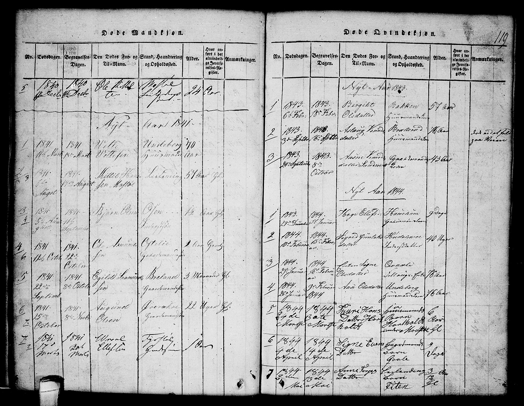 Lårdal kirkebøker, SAKO/A-284/G/Gc/L0001: Parish register (copy) no. III 1, 1815-1854, p. 119