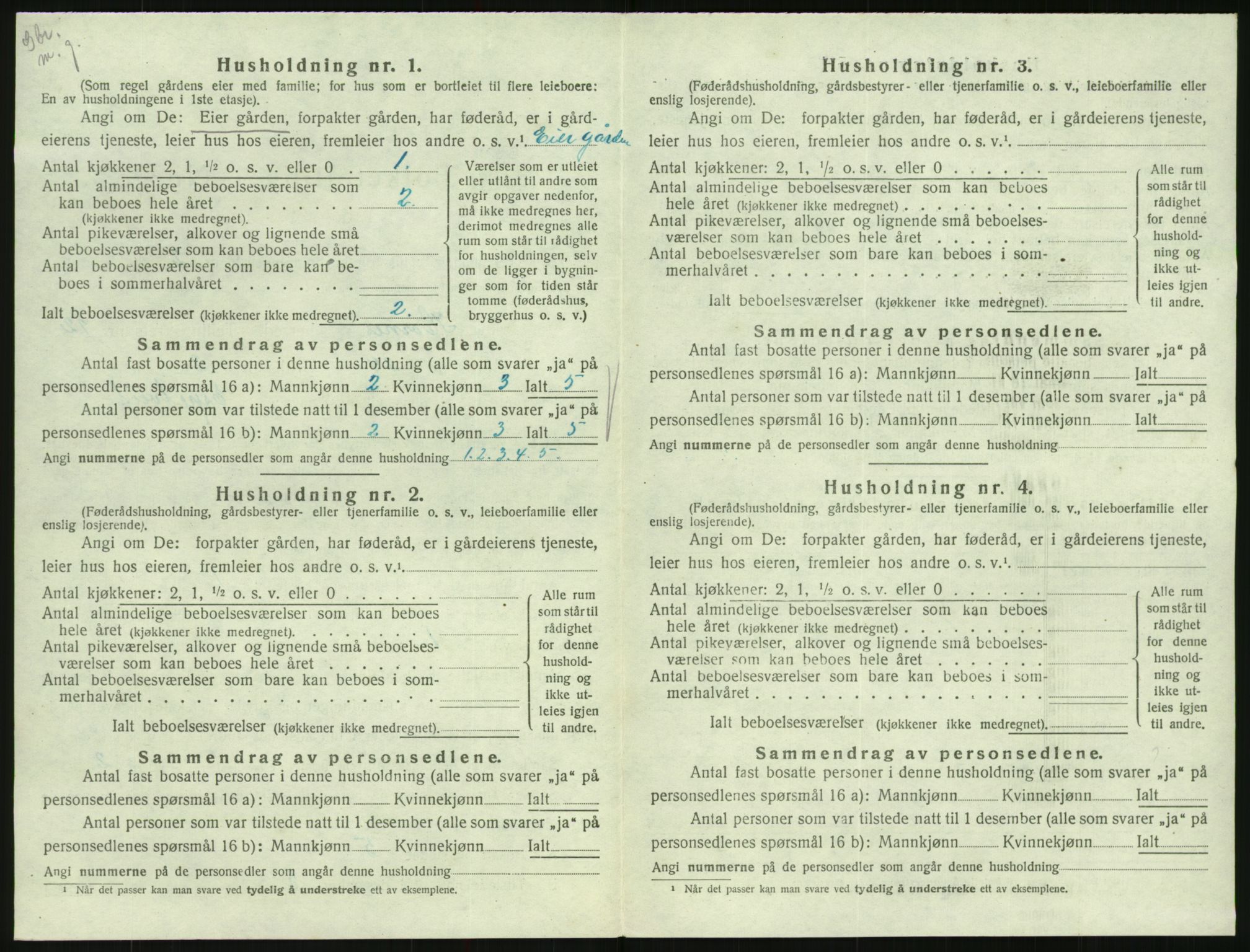 SAK, 1920 census for Hornnes, 1920, p. 476