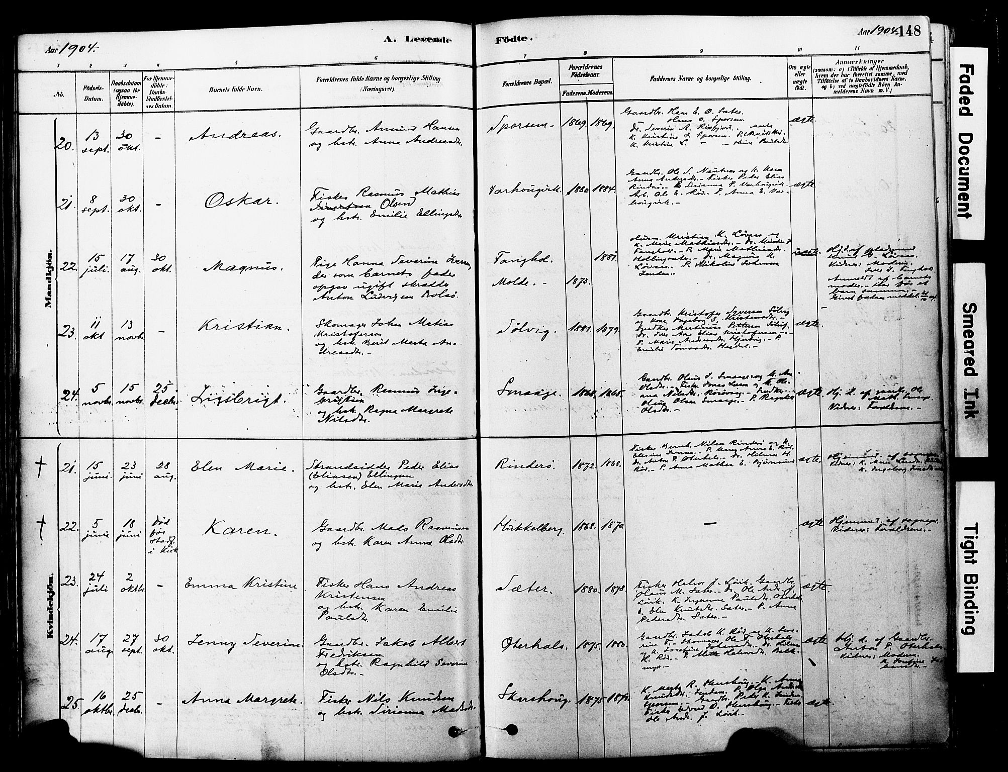 Ministerialprotokoller, klokkerbøker og fødselsregistre - Møre og Romsdal, SAT/A-1454/560/L0721: Parish register (official) no. 560A05, 1878-1917, p. 148