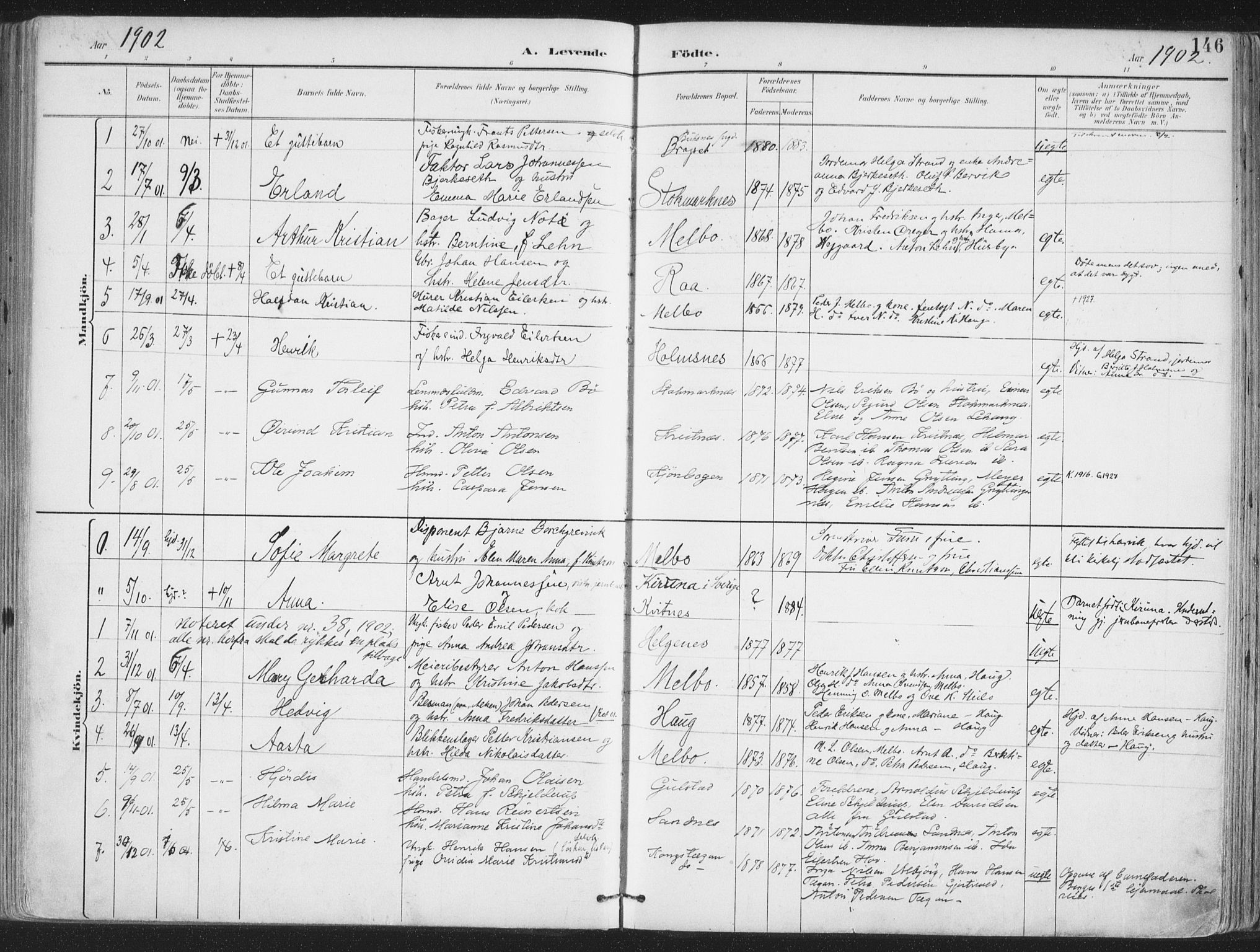 Ministerialprotokoller, klokkerbøker og fødselsregistre - Nordland, SAT/A-1459/888/L1246: Parish register (official) no. 888A12, 1891-1903, p. 146