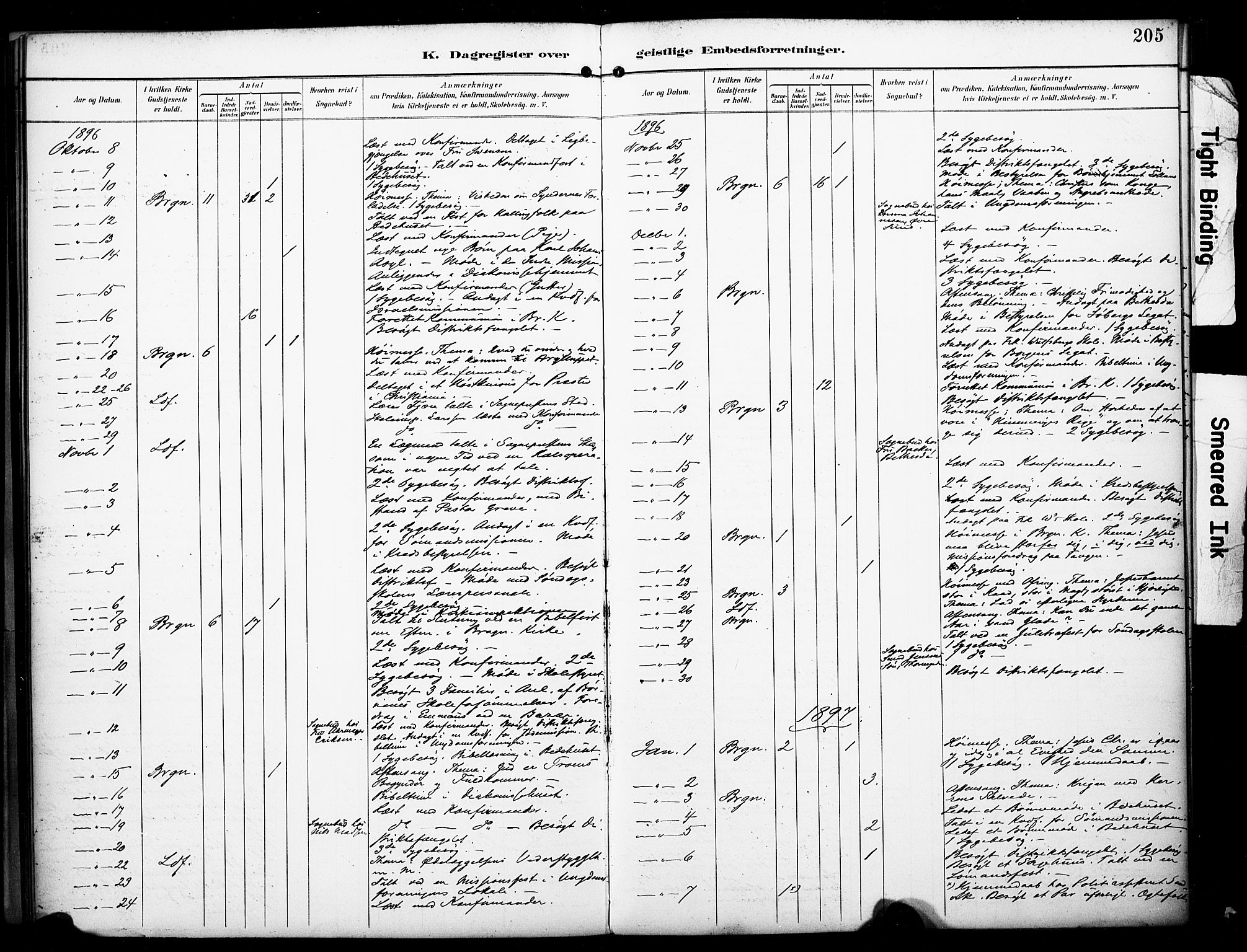 Bragernes kirkebøker, SAKO/A-6/F/Fc/L0006: Parish register (official) no. III 6, 1888-1899, p. 205