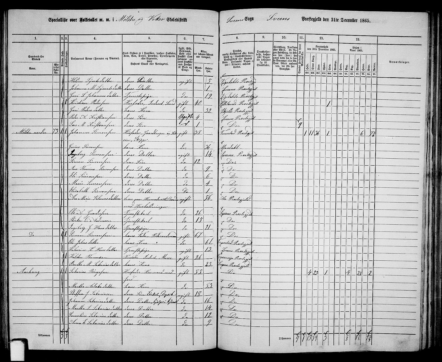 RA, 1865 census for Sveio, 1865, p. 125