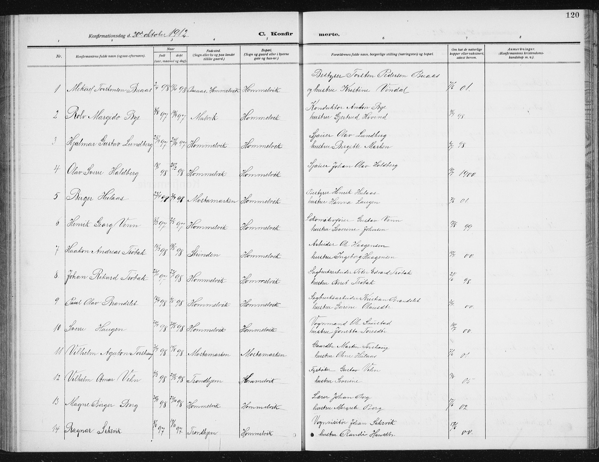 Ministerialprotokoller, klokkerbøker og fødselsregistre - Sør-Trøndelag, SAT/A-1456/617/L0431: Parish register (copy) no. 617C02, 1910-1936, p. 120