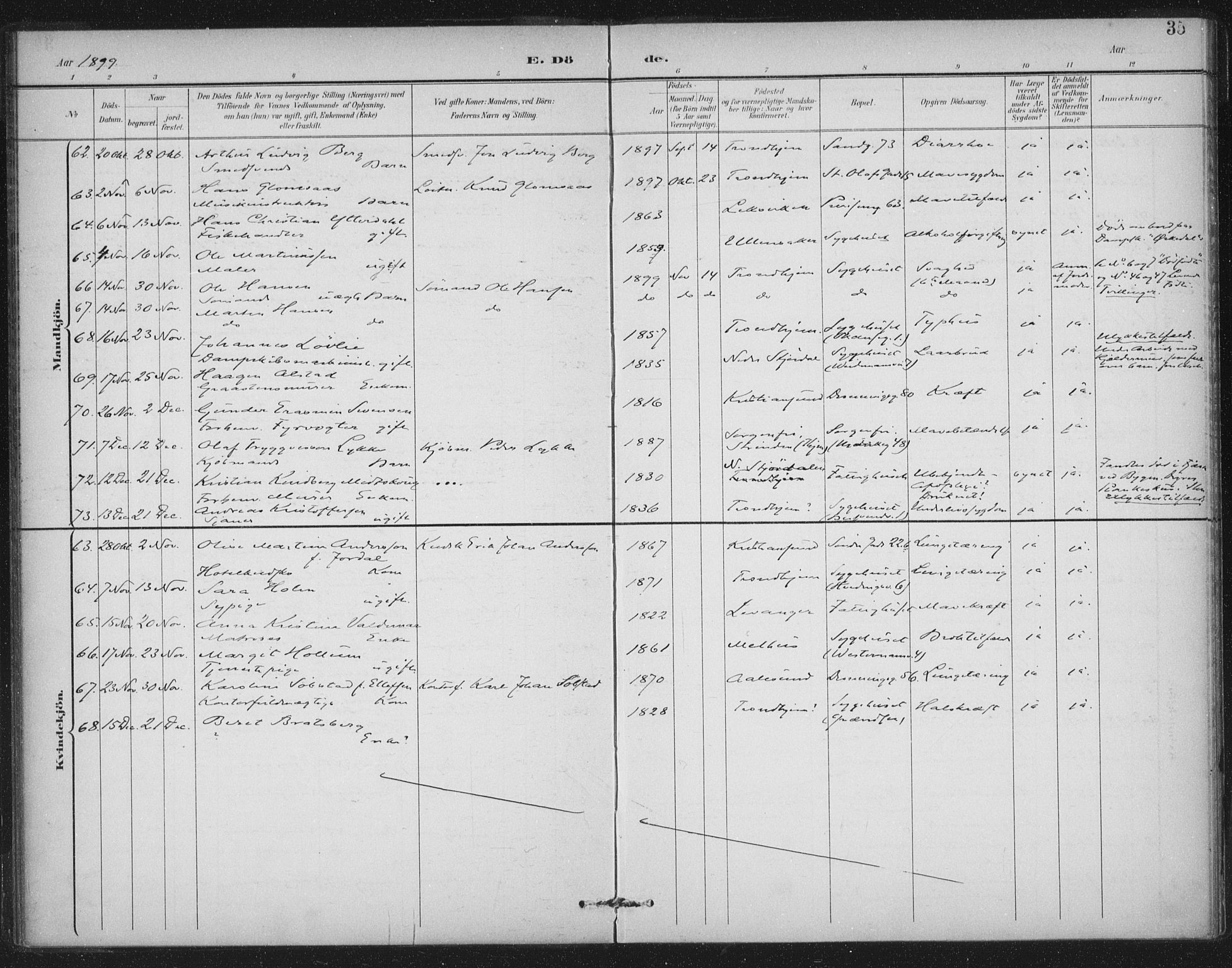 Ministerialprotokoller, klokkerbøker og fødselsregistre - Sør-Trøndelag, AV/SAT-A-1456/602/L0123: Parish register (official) no. 602A21, 1895-1910, p. 35