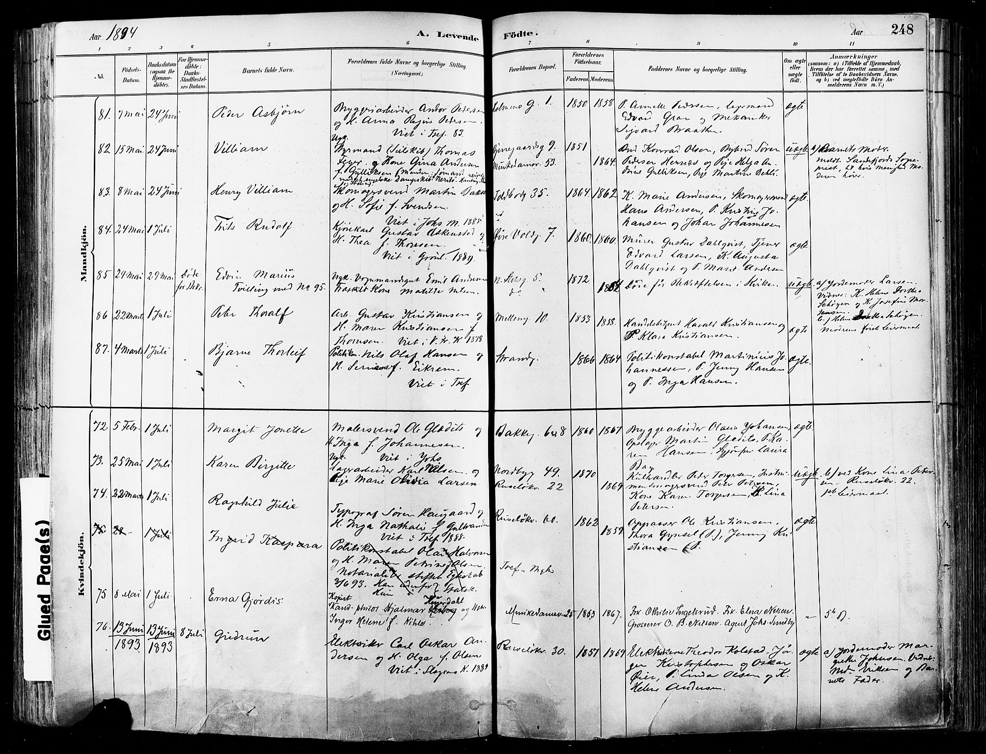 Johannes prestekontor Kirkebøker, SAO/A-10852/F/Fa/L0003: Parish register (official) no. 3, 1882-1896, p. 248