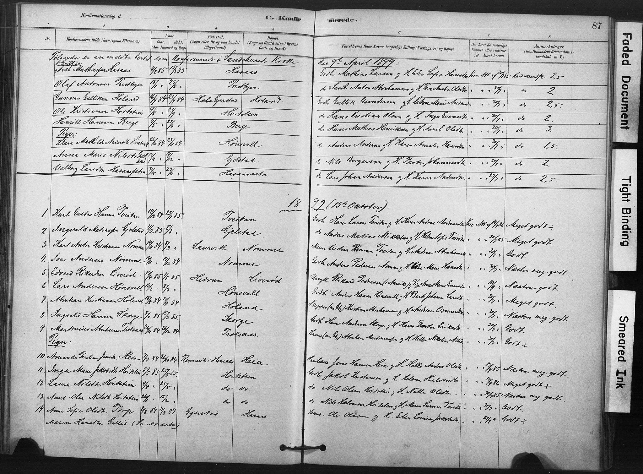 Andebu kirkebøker, AV/SAKO-A-336/F/Fa/L0008: Parish register (official) no. 8, 1878-1902, p. 87