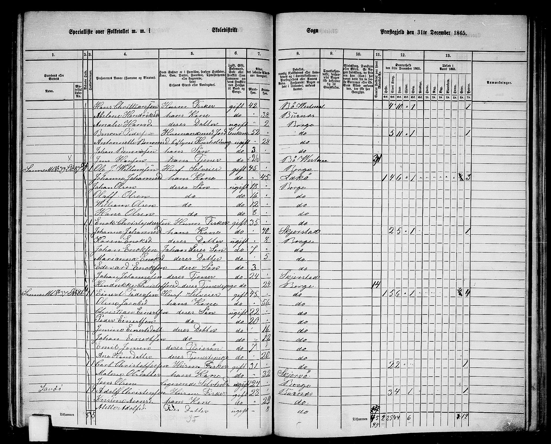 RA, 1865 census for Borge, 1865, p. 63