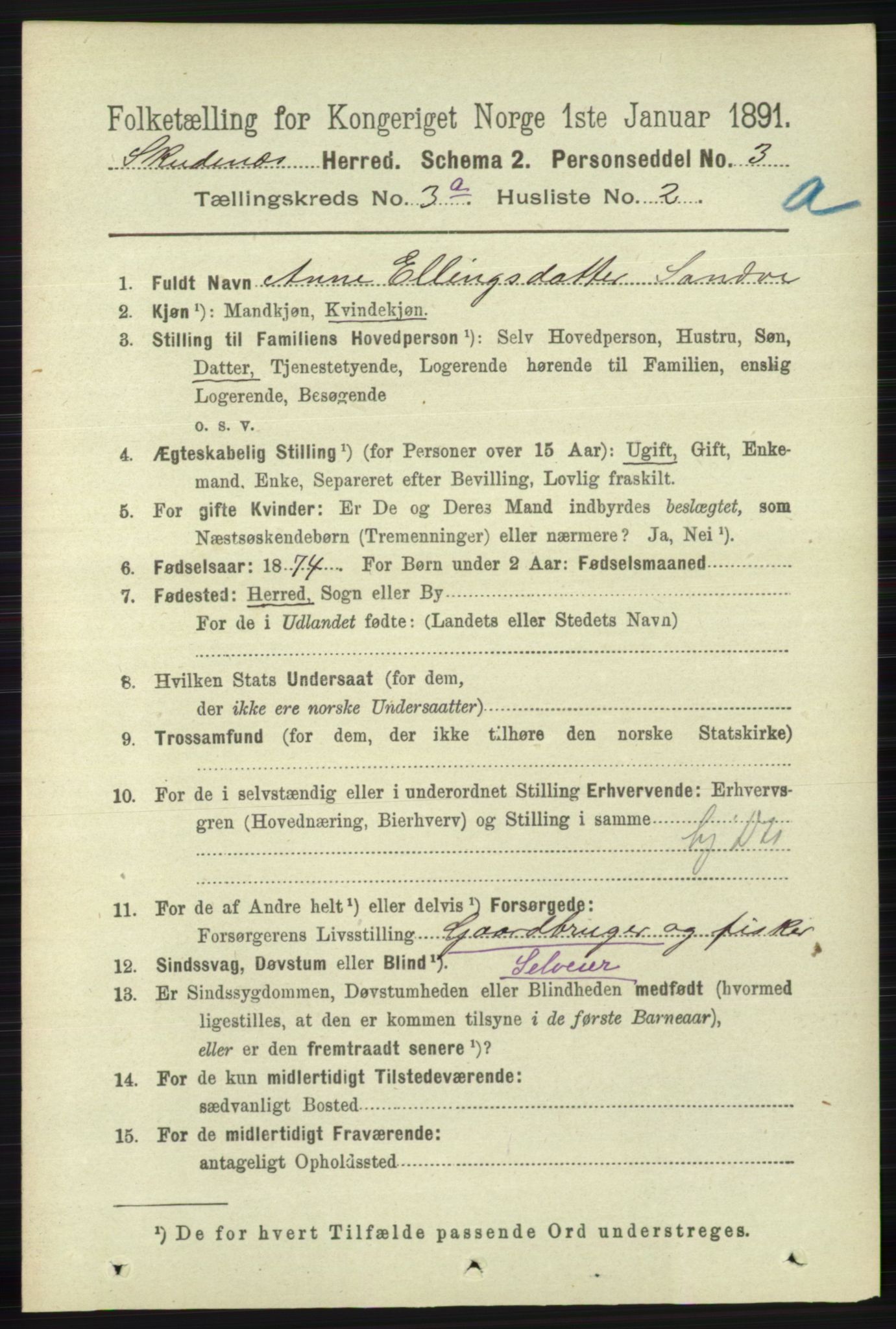 RA, 1891 census for 1150 Skudenes, 1891, p. 1384