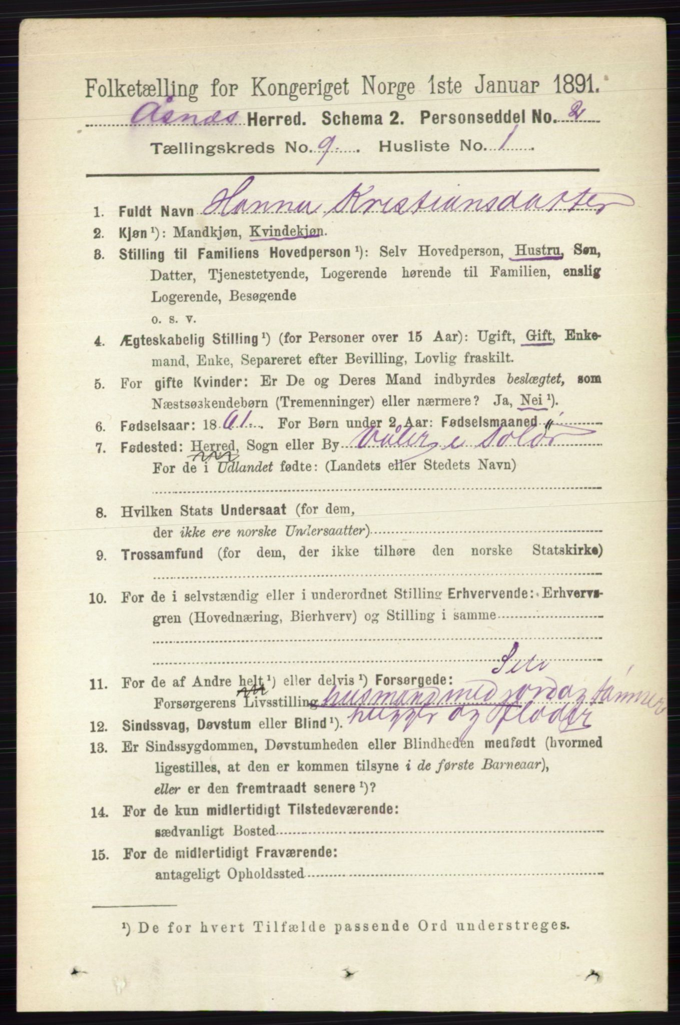 RA, 1891 census for 0425 Åsnes, 1891, p. 4617