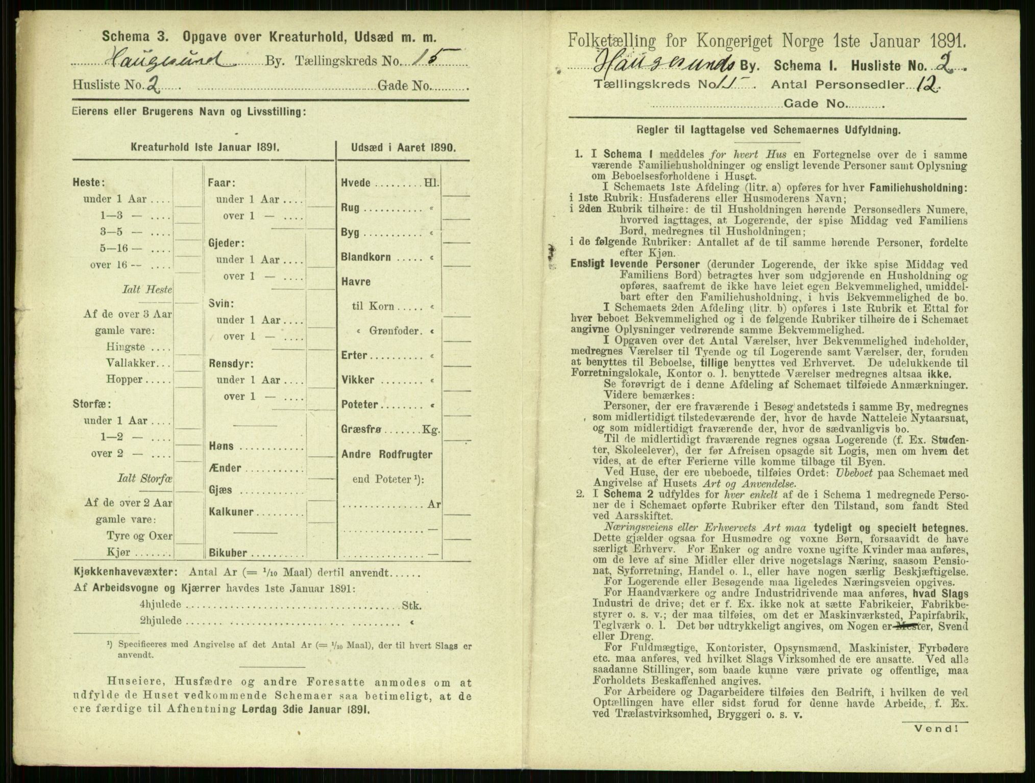 RA, 1891 census for 1106 Haugesund, 1891, p. 966