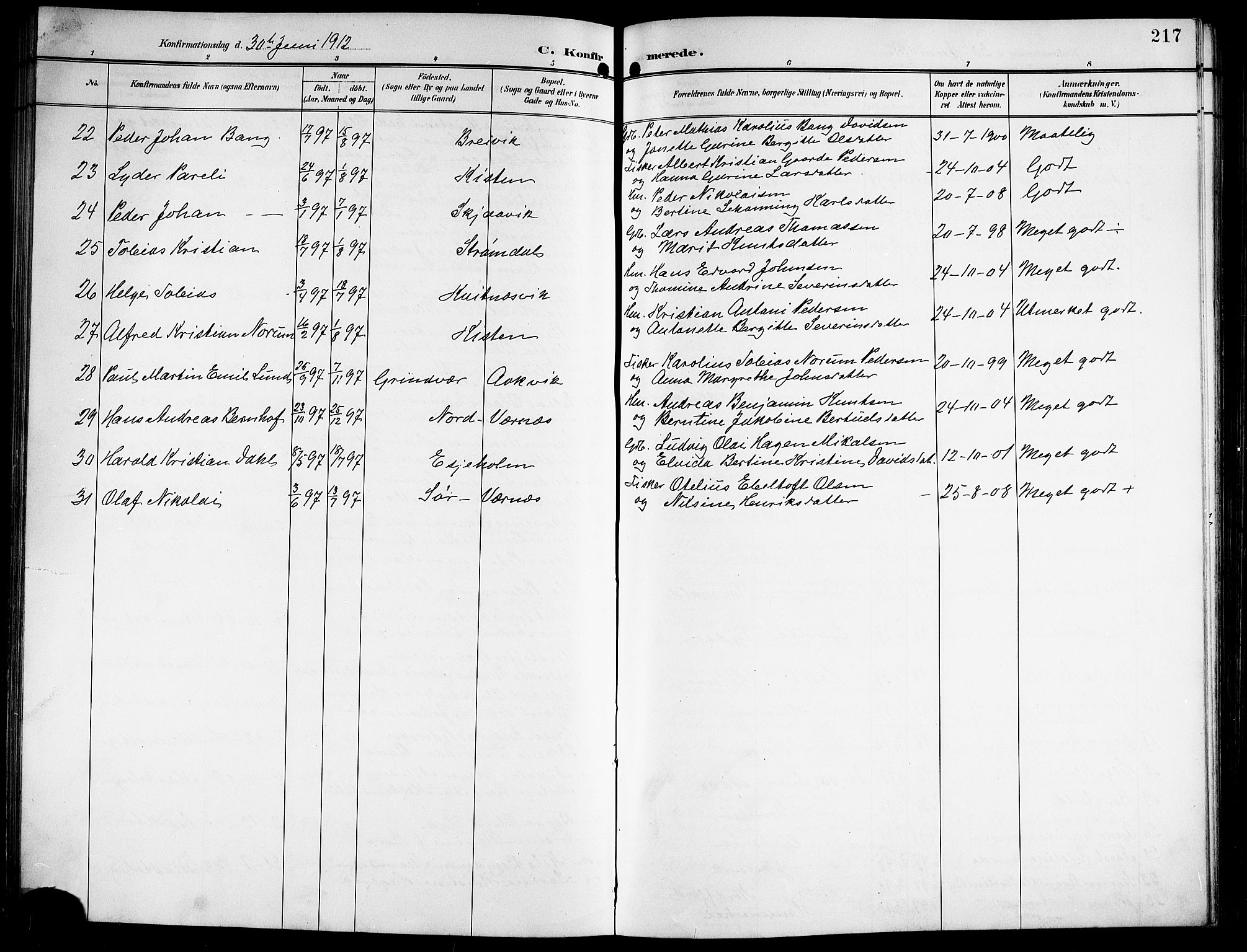 Ministerialprotokoller, klokkerbøker og fødselsregistre - Nordland, AV/SAT-A-1459/841/L0621: Parish register (copy) no. 841C05, 1897-1923, p. 217