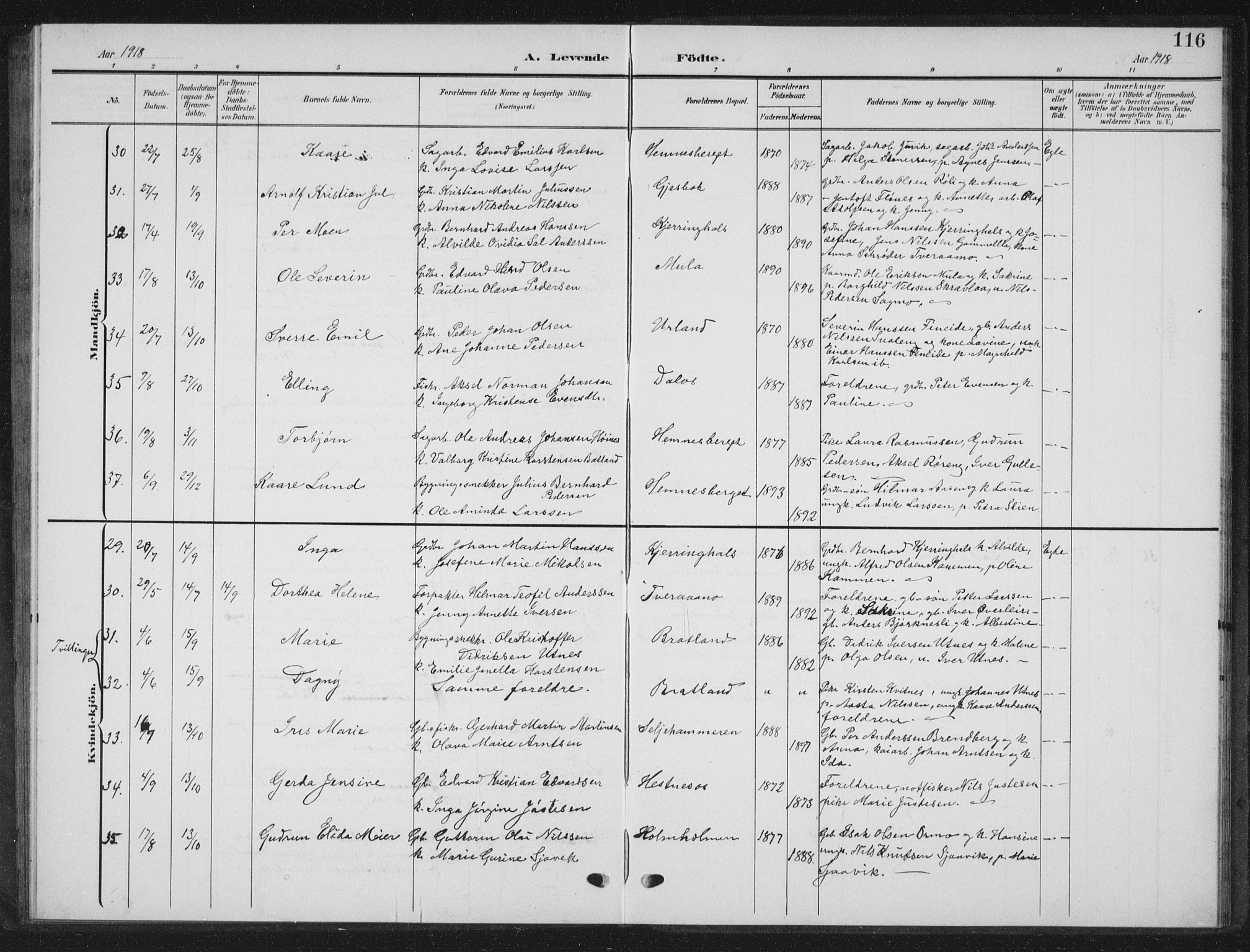 Ministerialprotokoller, klokkerbøker og fødselsregistre - Nordland, AV/SAT-A-1459/825/L0370: Parish register (copy) no. 825C07, 1903-1923, p. 116