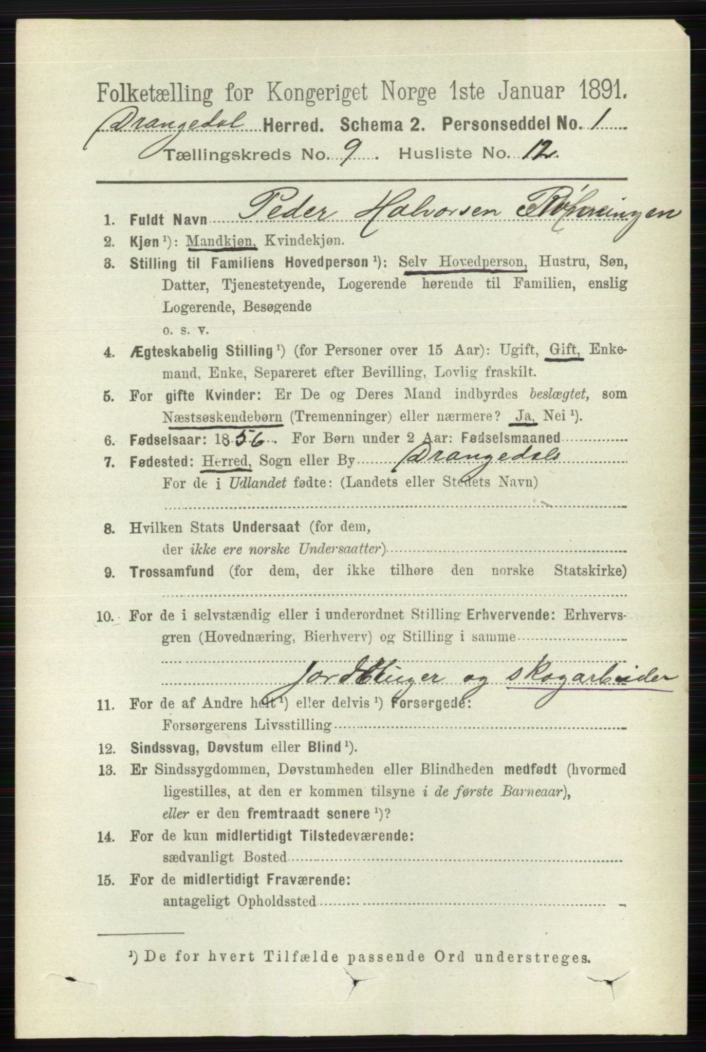 RA, 1891 census for 0817 Drangedal, 1891, p. 3199