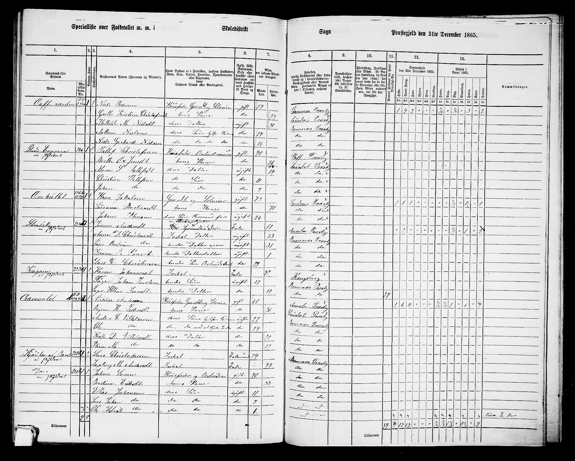 RA, 1865 census for Ramnes, 1865, p. 115