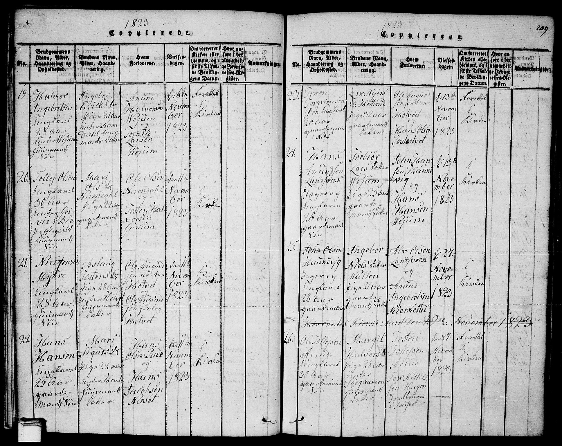 Sauherad kirkebøker, SAKO/A-298/F/Fa/L0005: Parish register (official) no. I 5, 1815-1829, p. 209