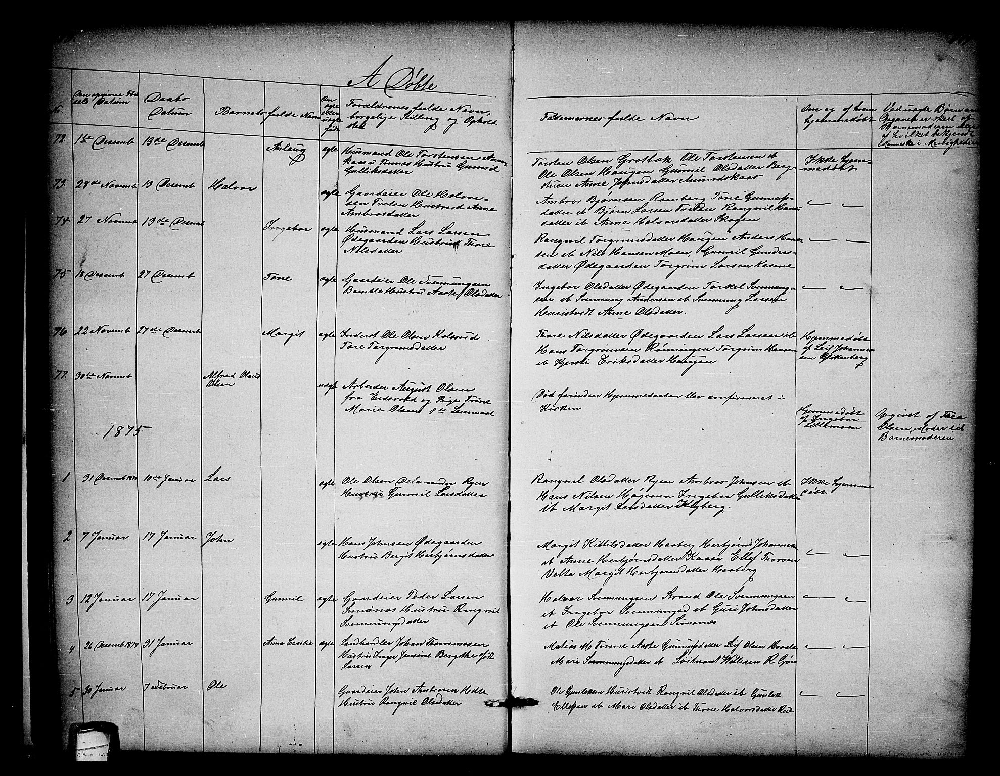 Heddal kirkebøker, SAKO/A-268/G/Ga/L0001: Parish register (copy) no. I 1, 1866-1878, p. 118-119
