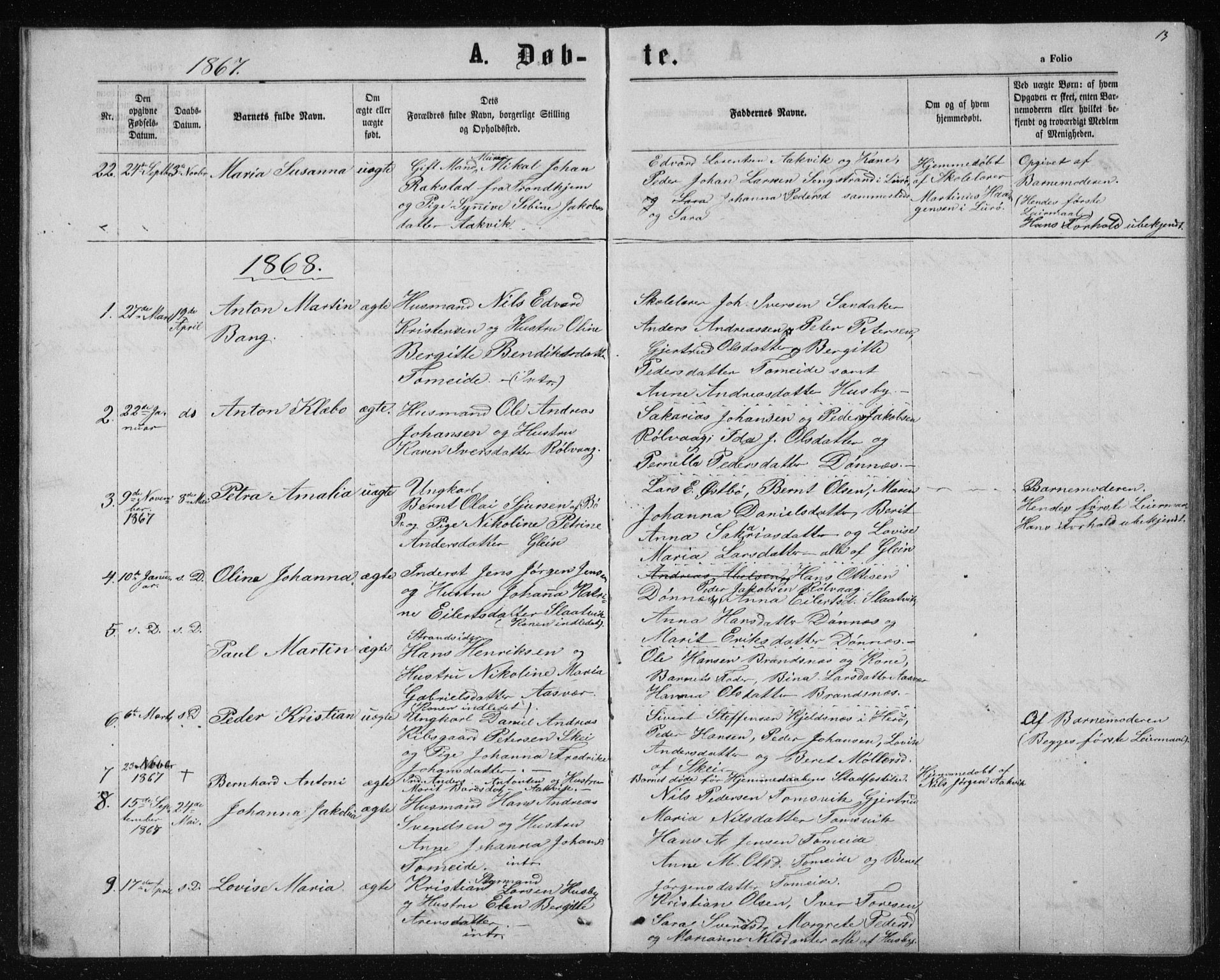 Ministerialprotokoller, klokkerbøker og fødselsregistre - Nordland, AV/SAT-A-1459/835/L0531: Parish register (copy) no. 835C03, 1865-1877, p. 13