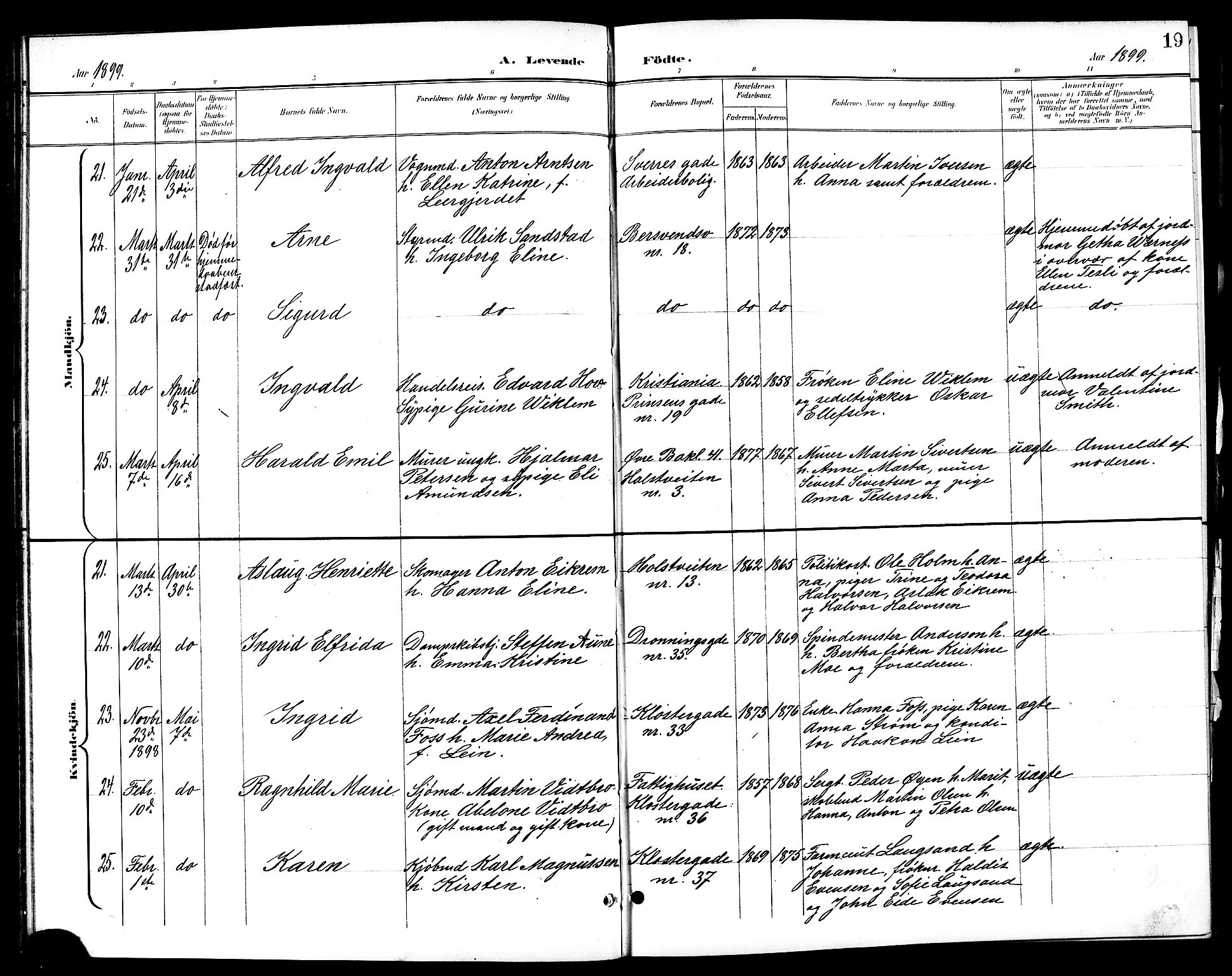 Ministerialprotokoller, klokkerbøker og fødselsregistre - Sør-Trøndelag, AV/SAT-A-1456/601/L0094: Parish register (copy) no. 601C12, 1898-1911, p. 19