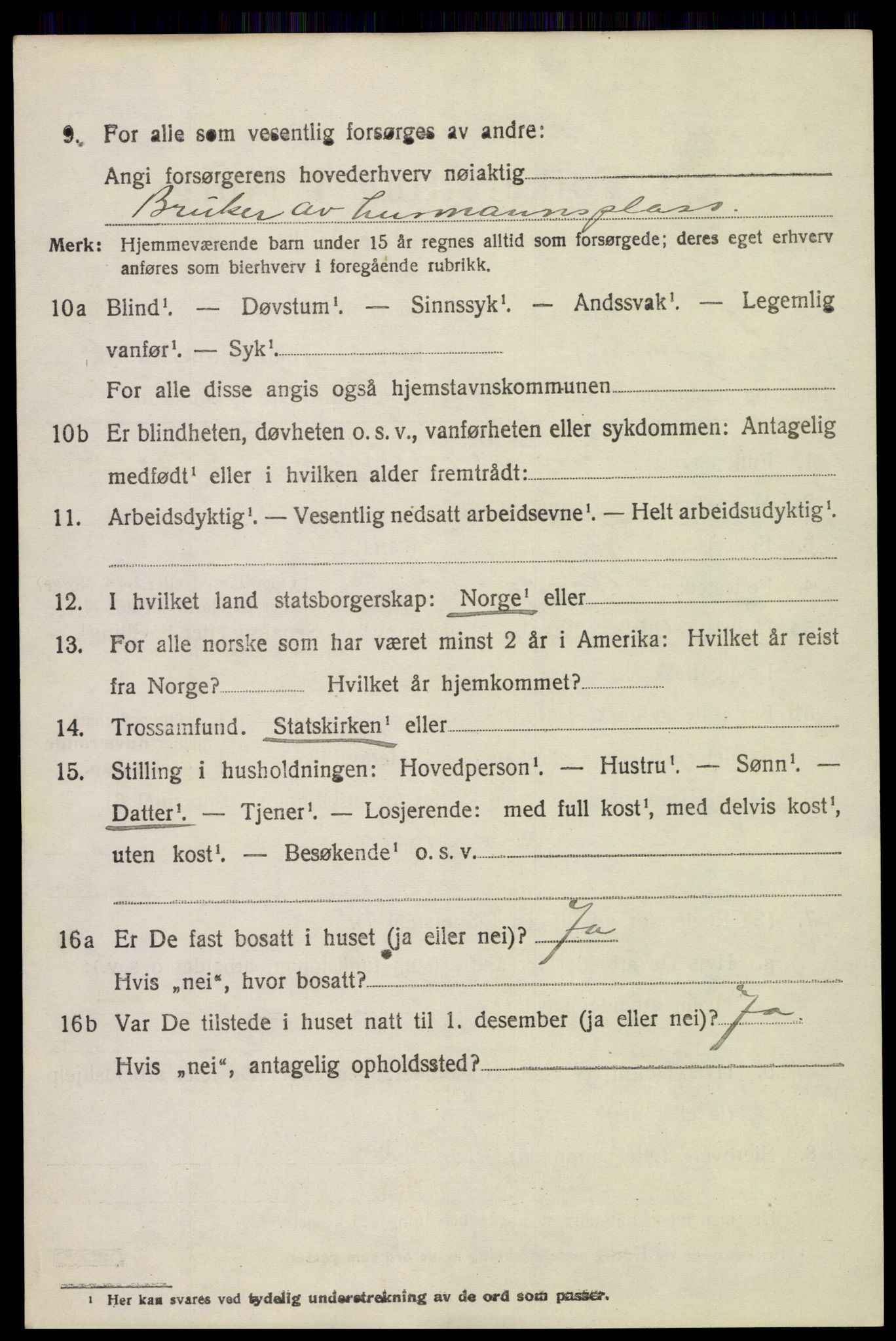 SAH, 1920 census for Ringsaker, 1920, p. 13313