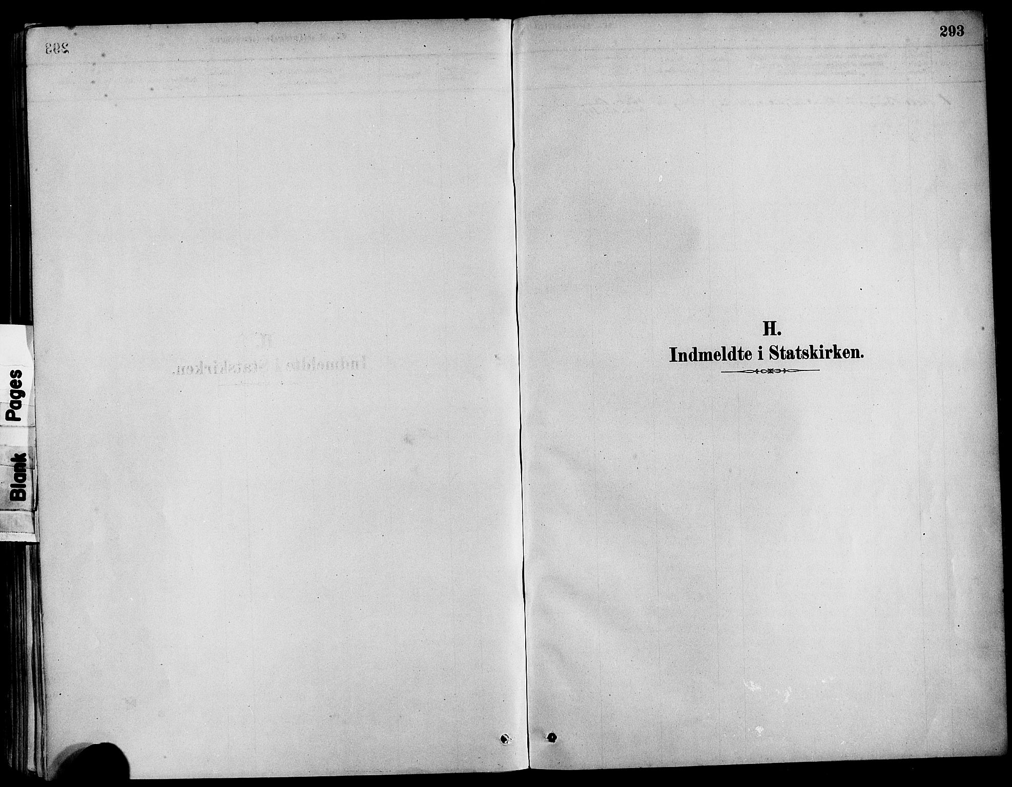 Askøy Sokneprestembete, SAB/A-74101/H/Ha/Haa/Haab/L0001: Parish register (official) no. B 1, 1878-1889, p. 293