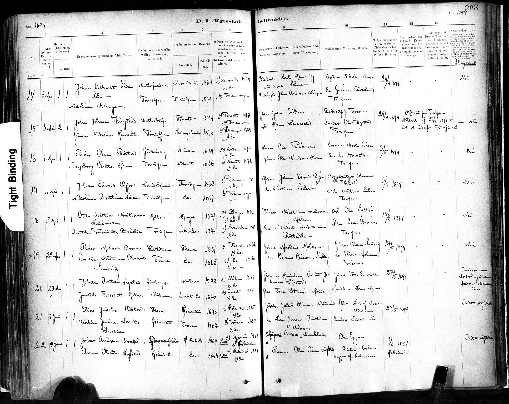 Ministerialprotokoller, klokkerbøker og fødselsregistre - Sør-Trøndelag, AV/SAT-A-1456/602/L0119: Parish register (official) no. 602A17, 1880-1901, p. 303