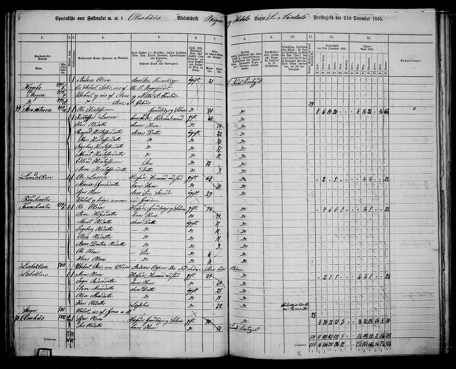 RA, 1865 census for Sør-Aurdal, 1865, p. 104