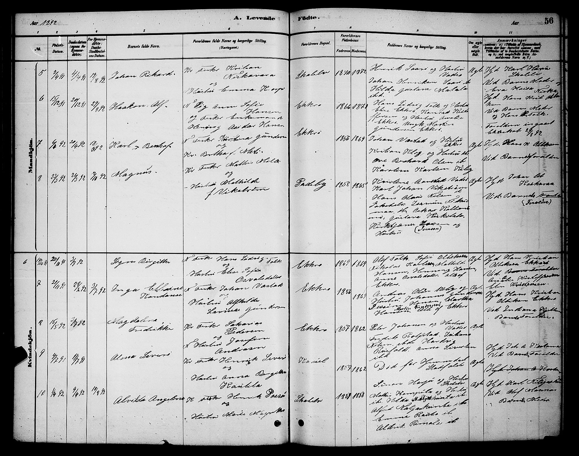 Vadsø sokneprestkontor, SATØ/S-1325/H/Hb/L0003klokker: Parish register (copy) no. 3, 1881-1901, p. 56