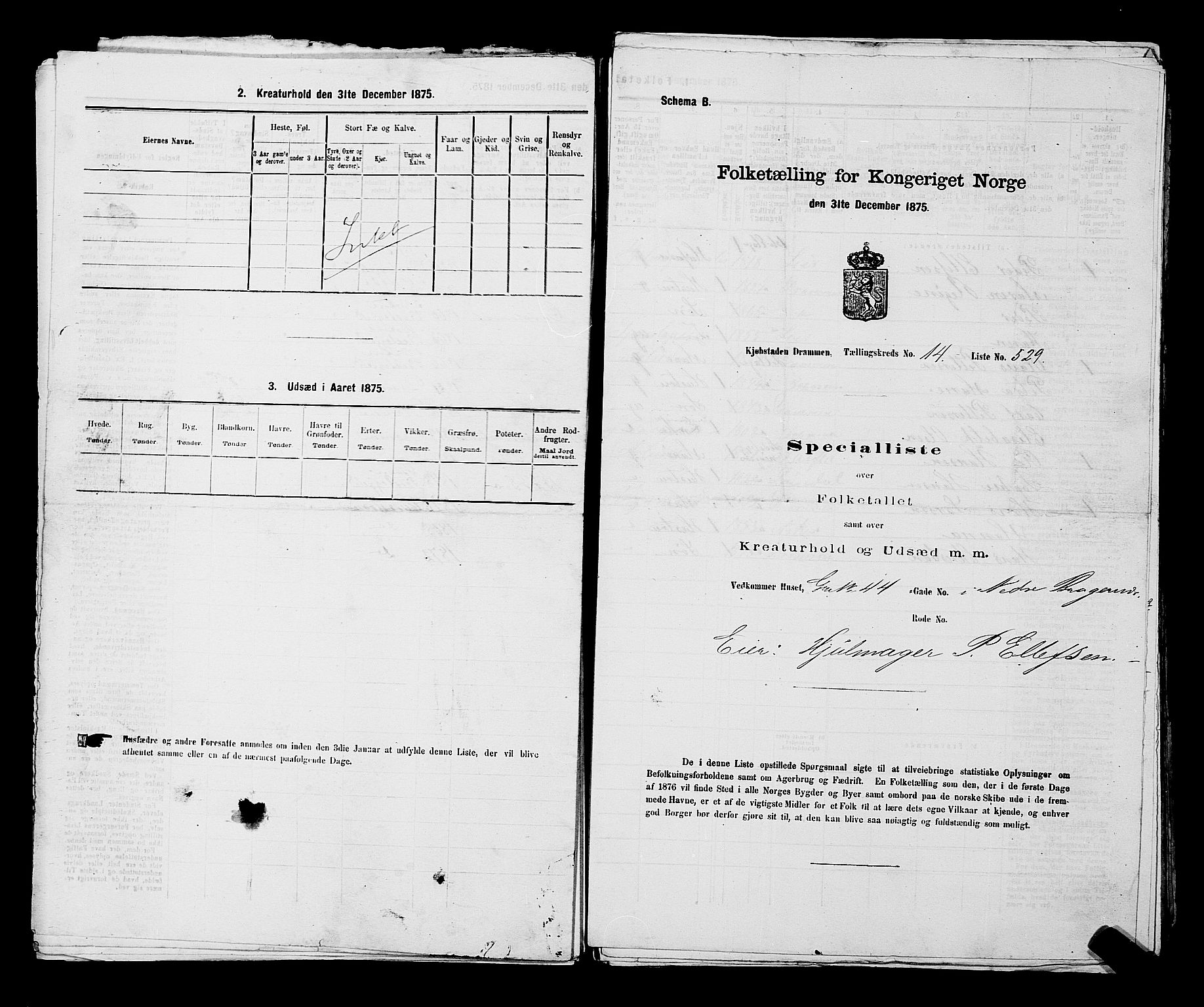 SAKO, 1875 census for 0602 Drammen, 1875, p. 1498
