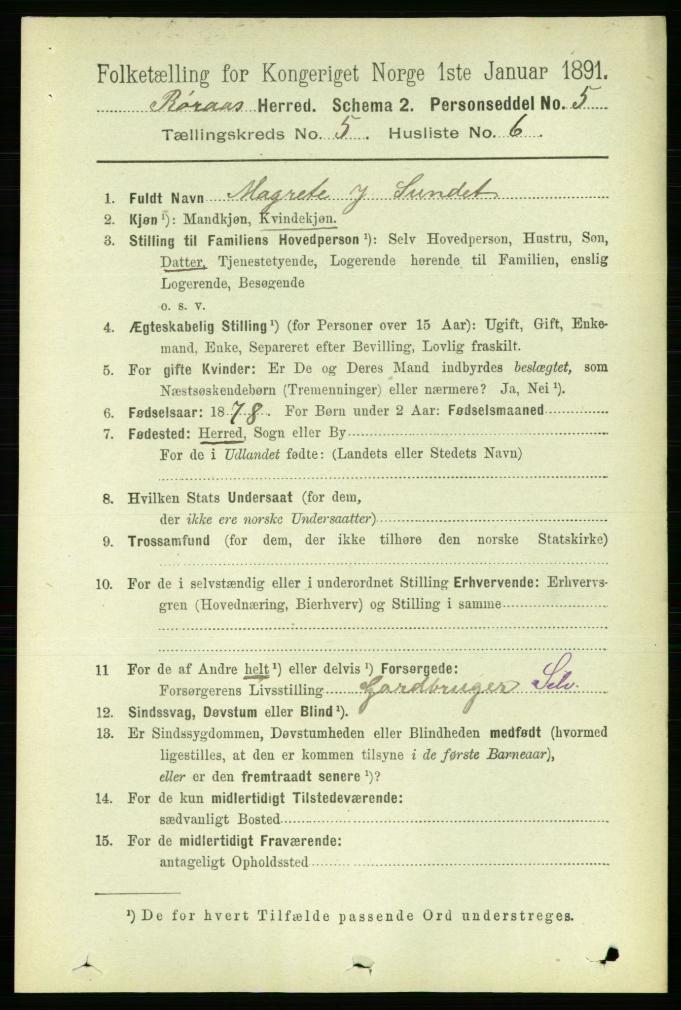 RA, 1891 census for 1640 Røros, 1891, p. 1052