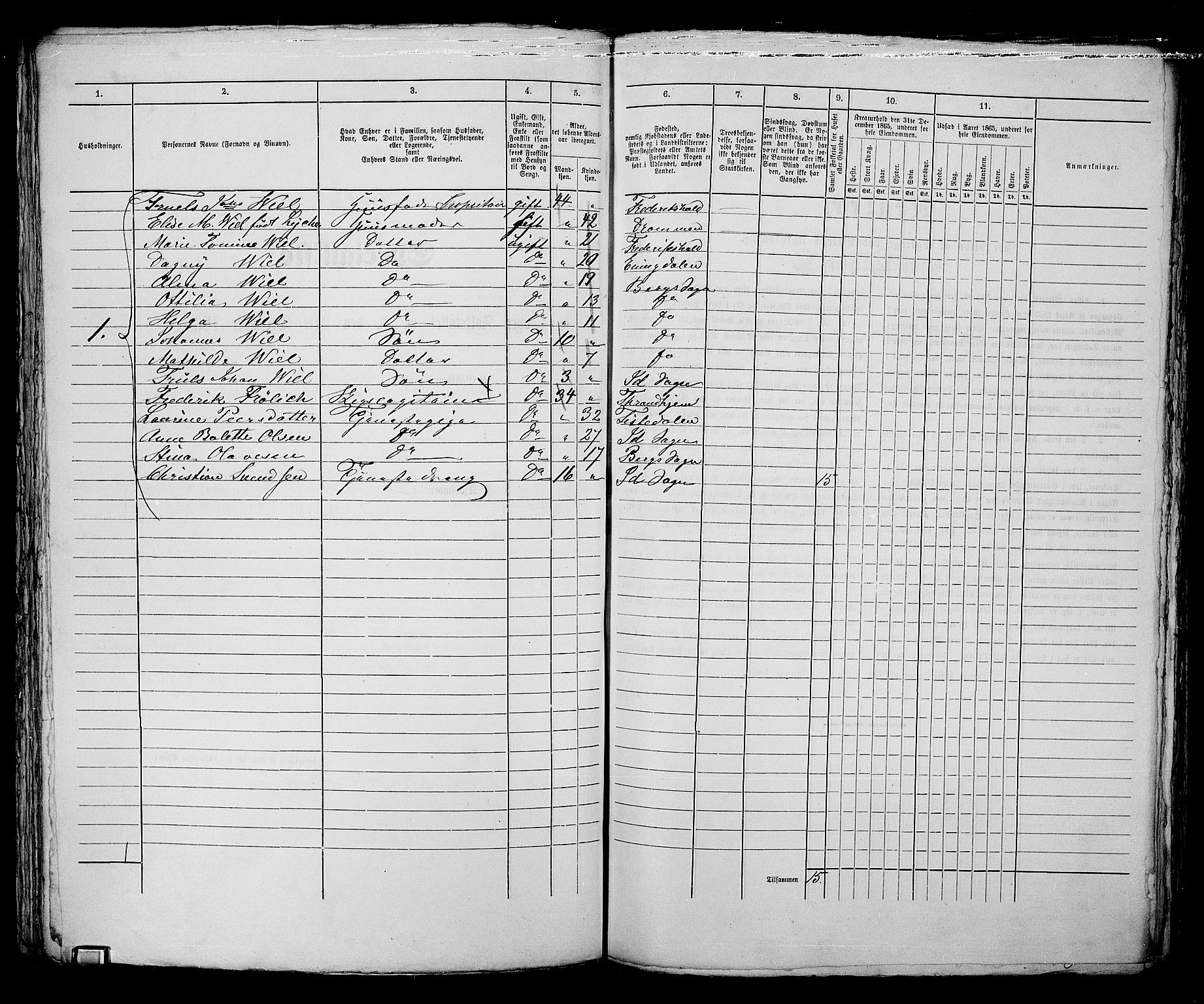 RA, 1865 census for Fredrikshald, 1865, p. 1096