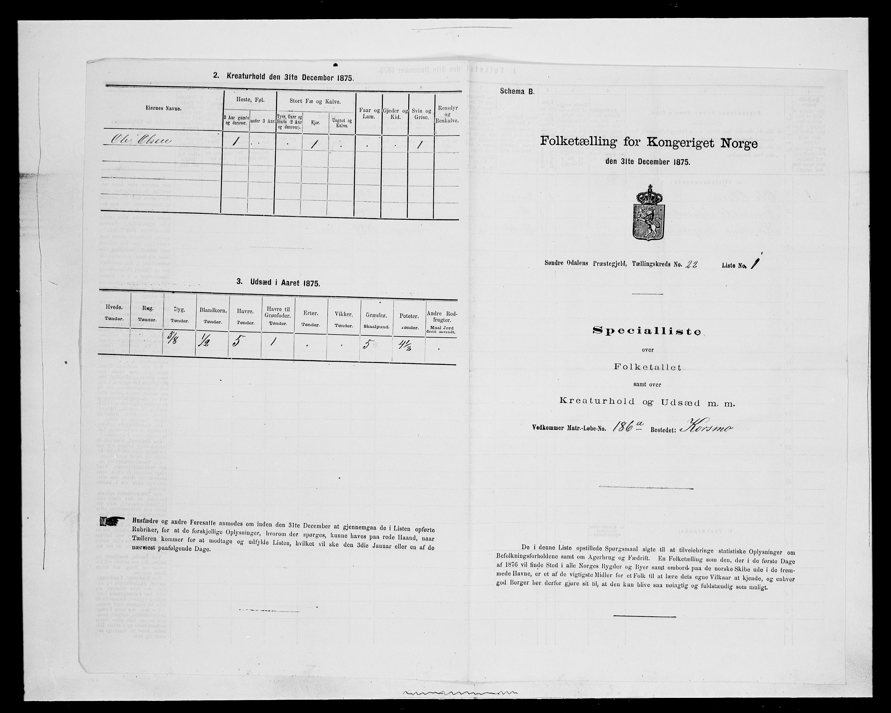 SAH, 1875 census for 0419P Sør-Odal, 1875, p. 1876