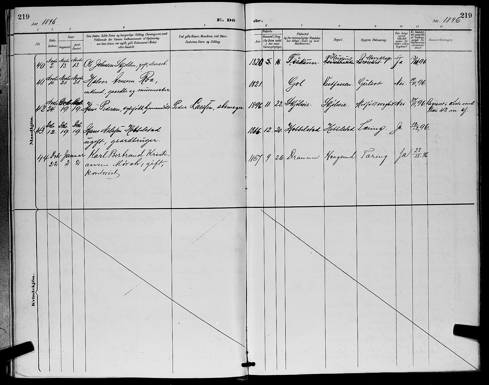 Eiker kirkebøker, SAKO/A-4/G/Ga/L0007: Parish register (copy) no. I 7, 1893-1902, p. 219