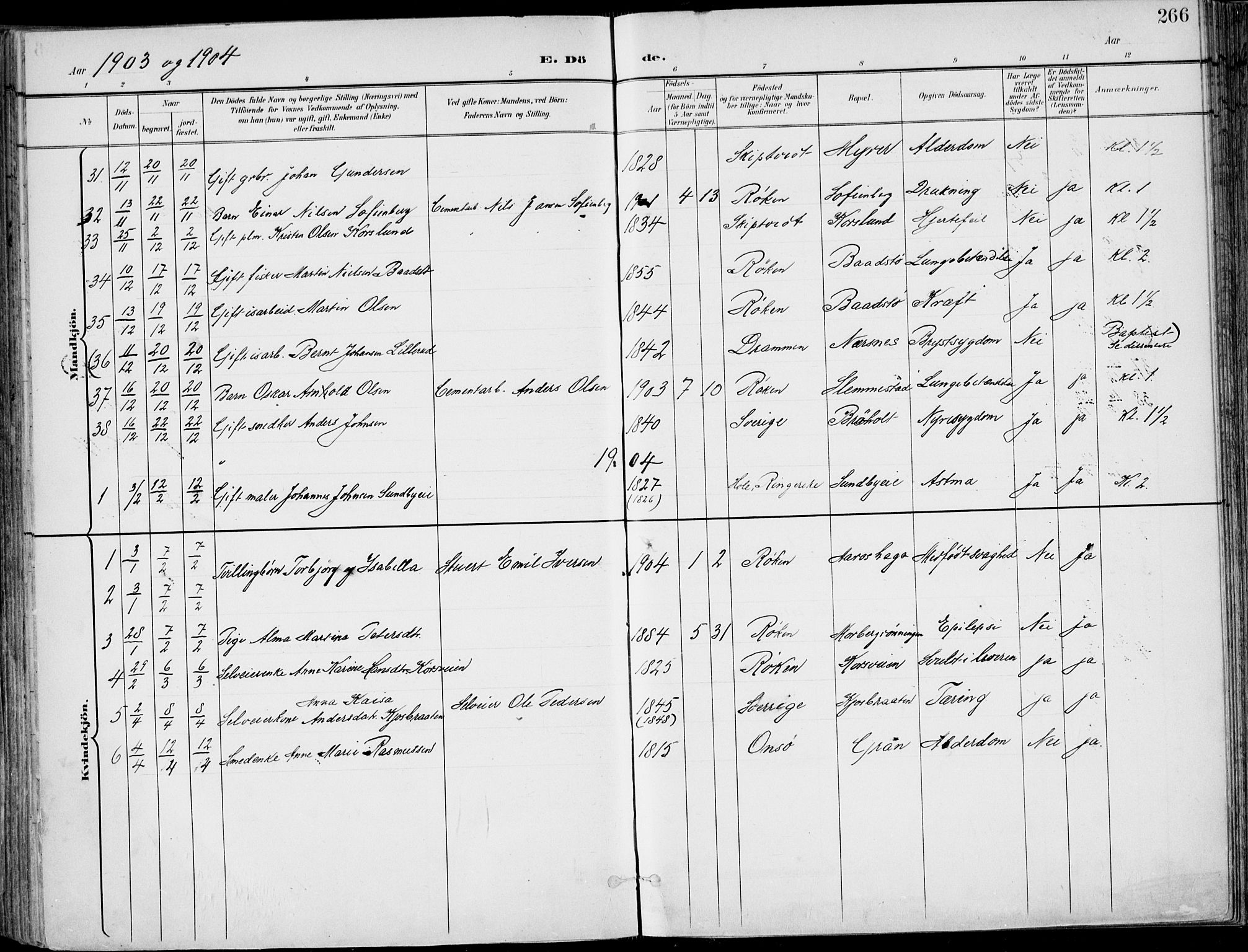 Røyken kirkebøker, SAKO/A-241/F/Fa/L0009: Parish register (official) no. 9, 1898-1911, p. 266