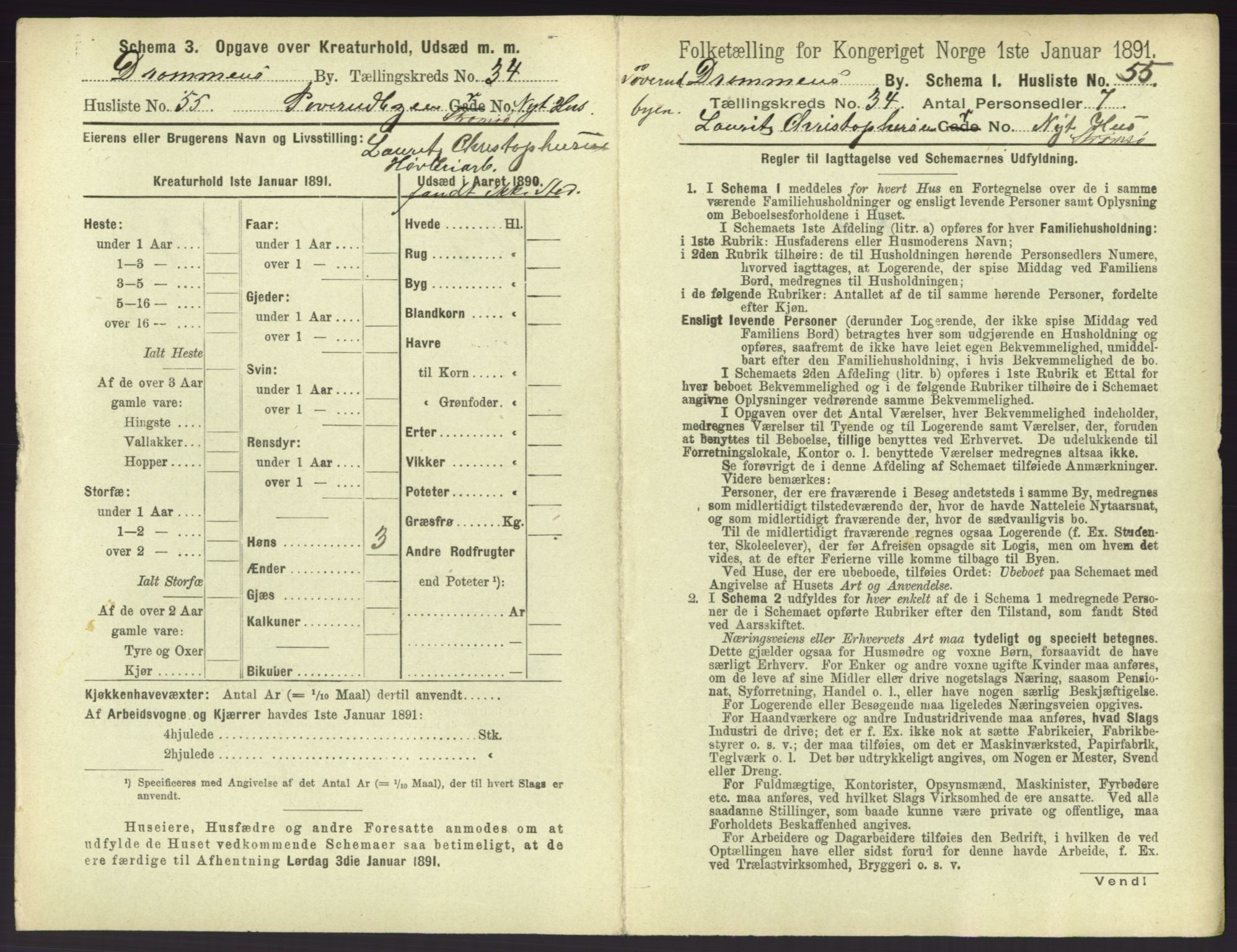 RA, 1891 census for 0602 Drammen, 1891, p. 3103