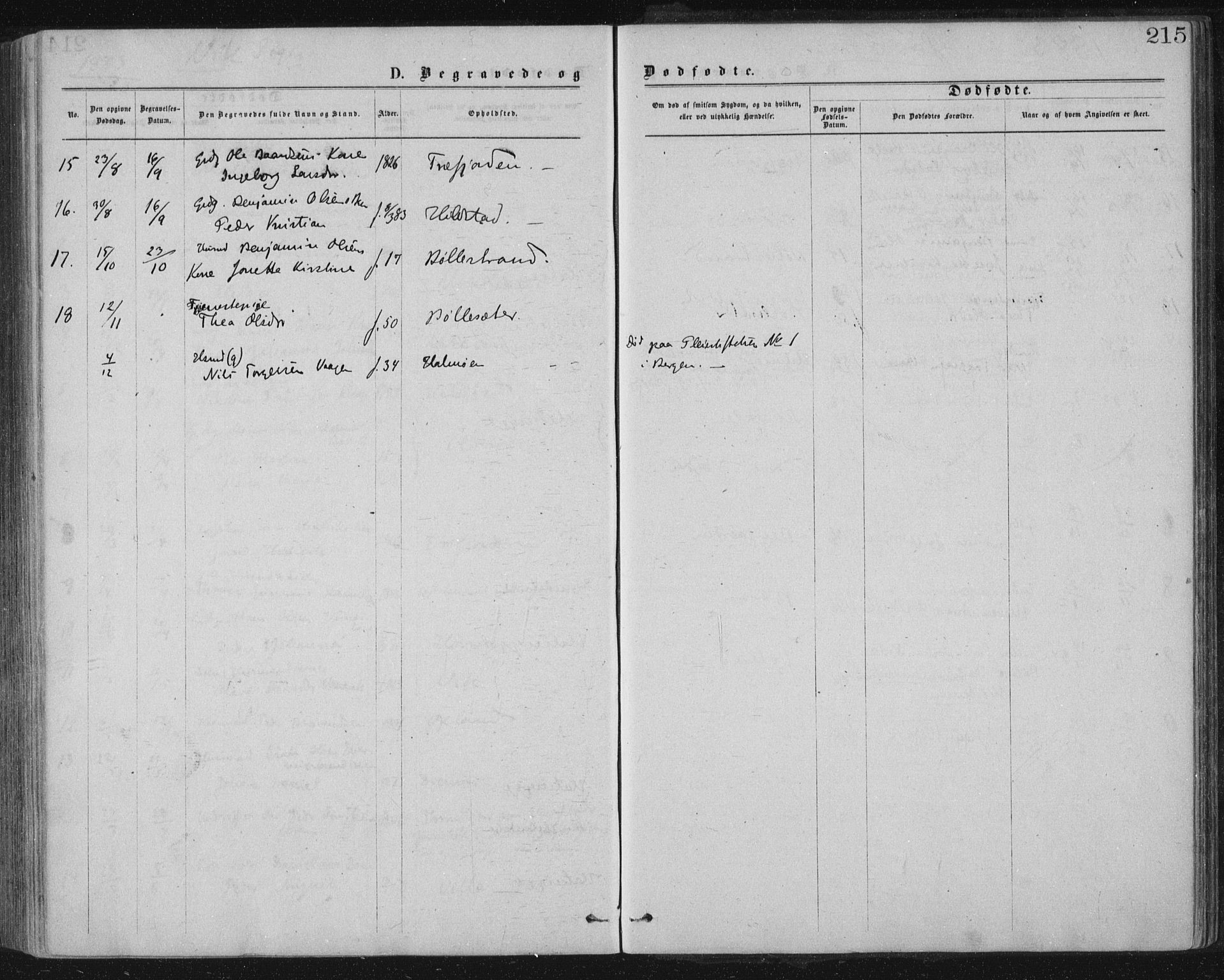 Ministerialprotokoller, klokkerbøker og fødselsregistre - Nord-Trøndelag, AV/SAT-A-1458/771/L0596: Parish register (official) no. 771A03, 1870-1884, p. 215