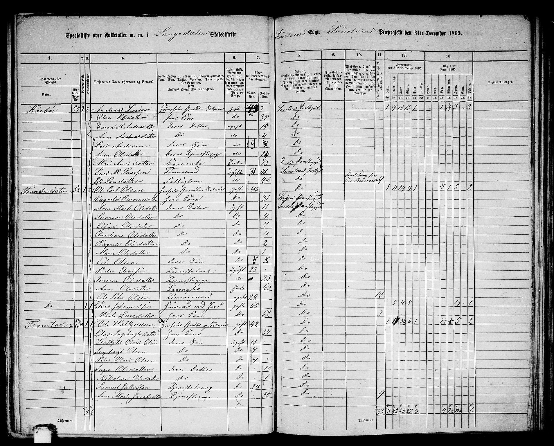 RA, 1865 census for Sunnylven, 1865, p. 20