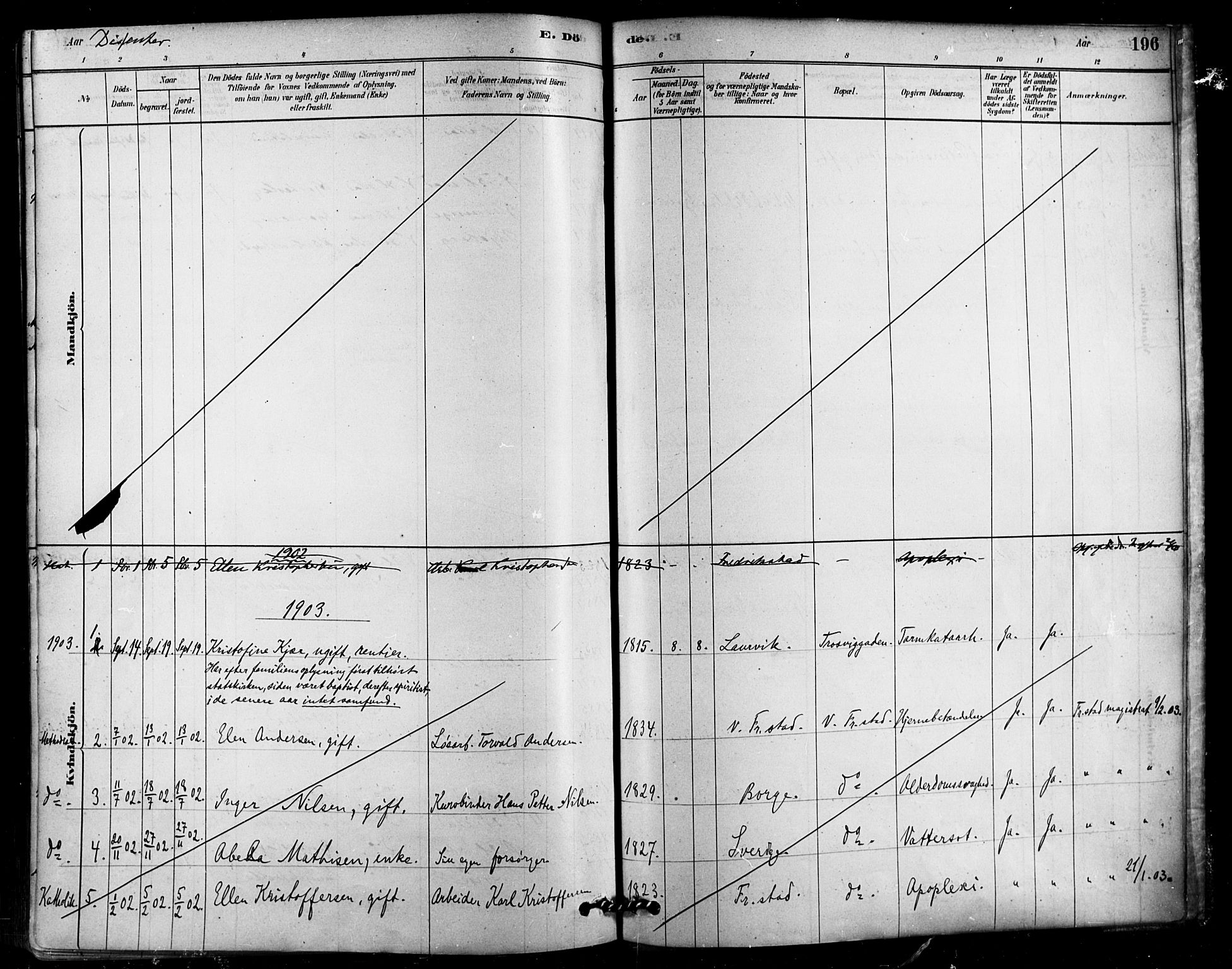 Fredrikstad domkirkes prestekontor Kirkebøker, SAO/A-10906/F/Fa/L0003: Parish register (official) no. 3, 1878-1904, p. 196