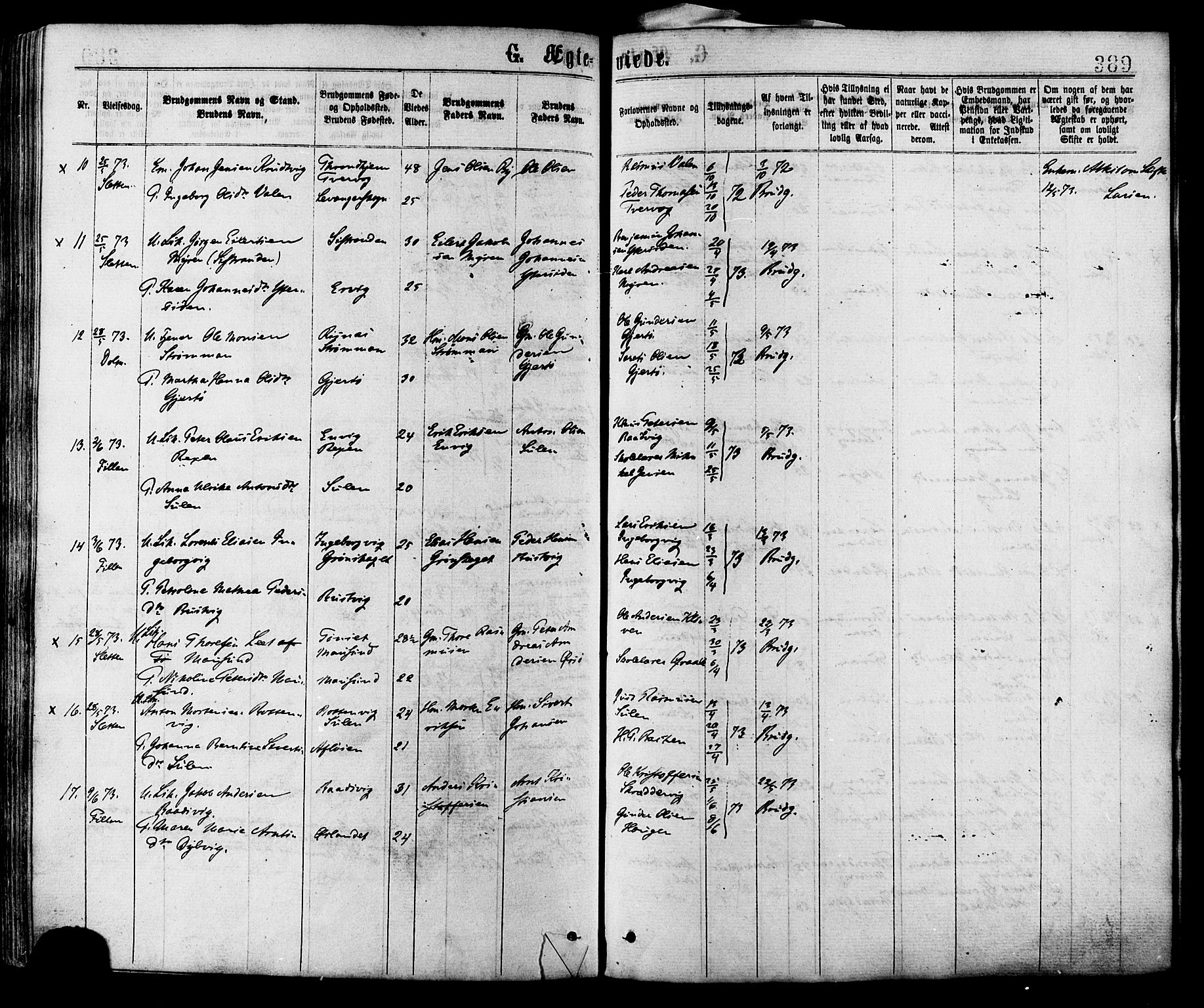 Ministerialprotokoller, klokkerbøker og fødselsregistre - Sør-Trøndelag, AV/SAT-A-1456/634/L0532: Parish register (official) no. 634A08, 1871-1881, p. 389