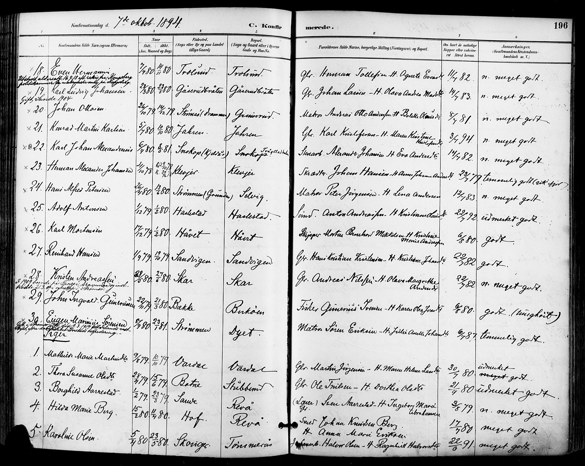 Sande Kirkebøker, SAKO/A-53/F/Fa/L0007: Parish register (official) no. 7, 1888-1903, p. 196